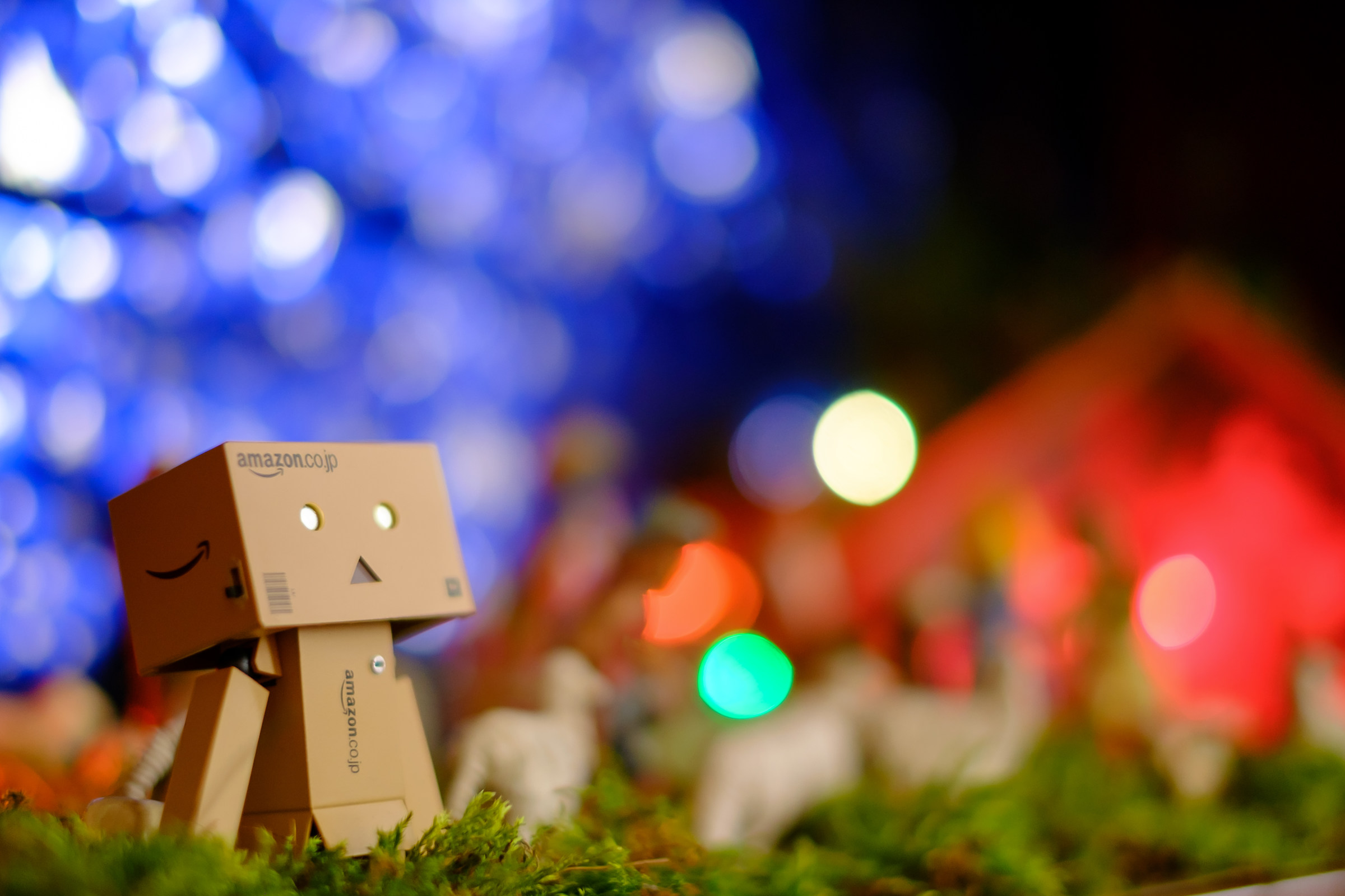 Danbo's Christmas lights
