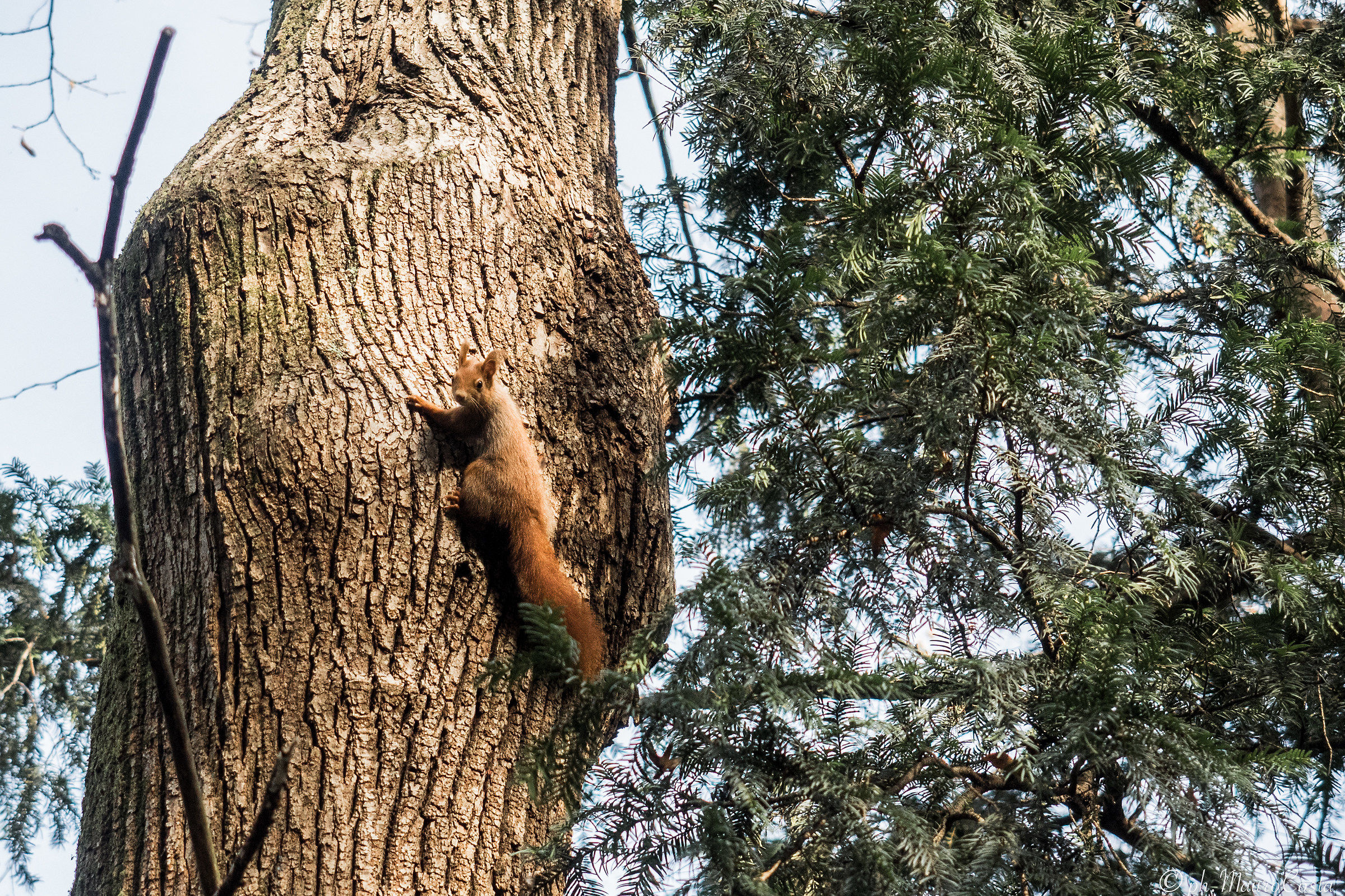 Christmas gatherings ...