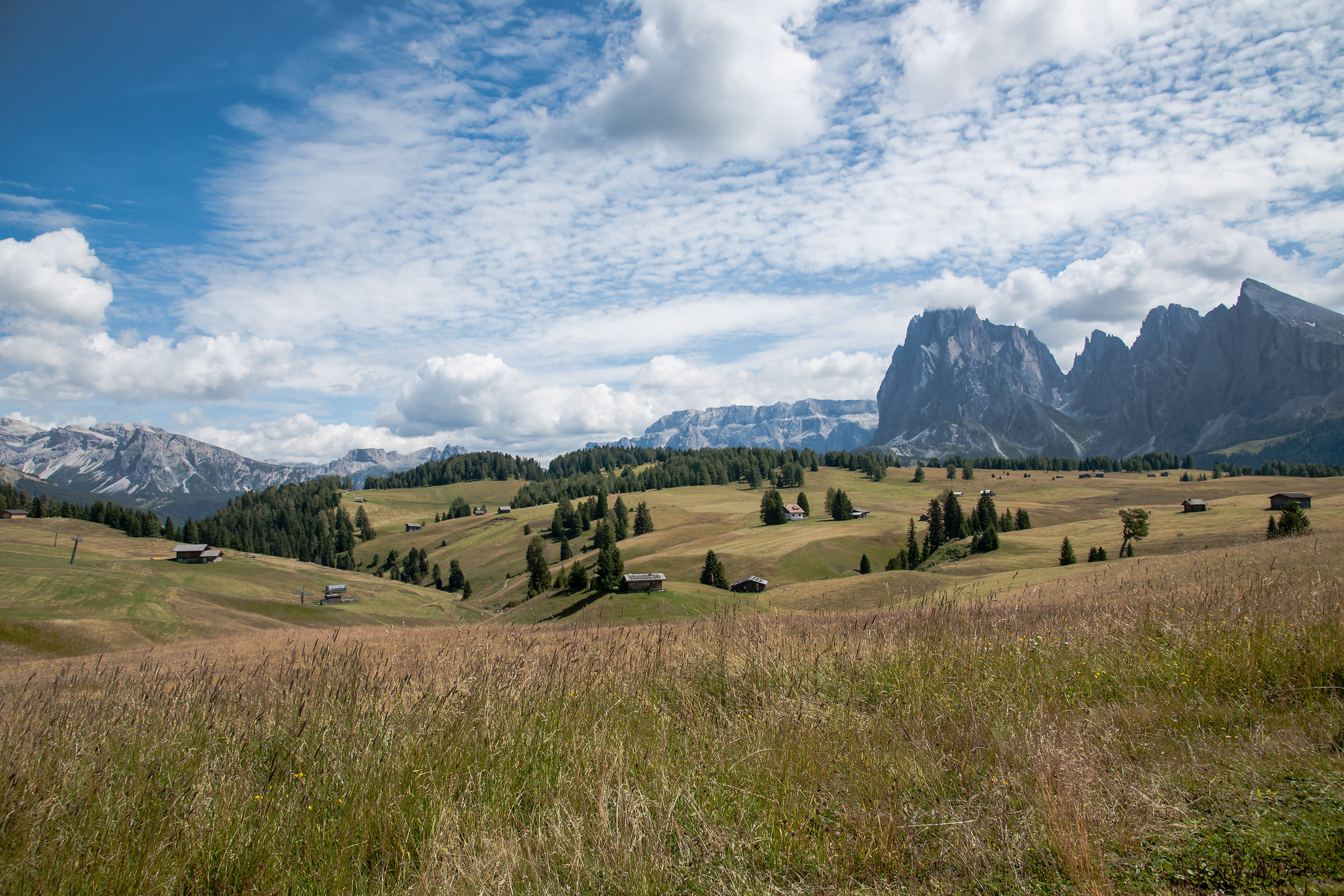 Alpe di Siusi