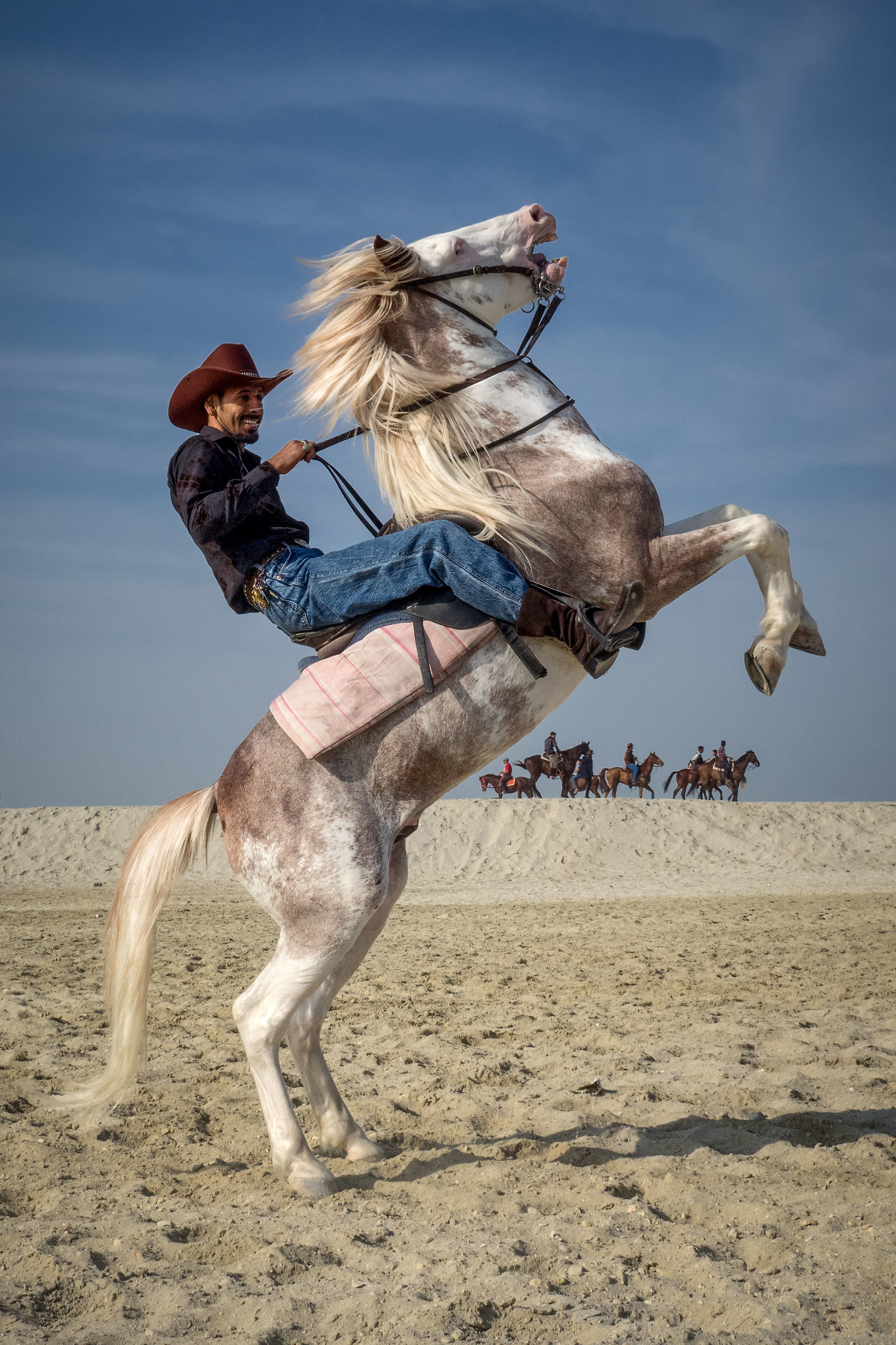 Bahraini Cowboys with arab horses