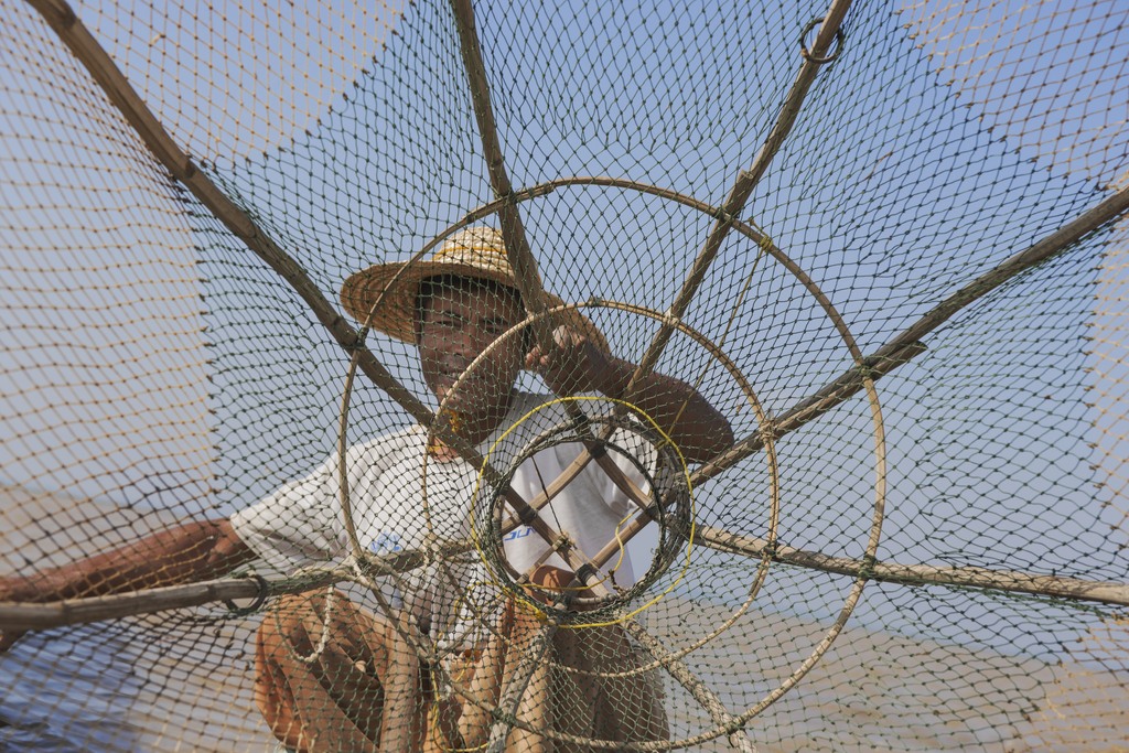 Fisherman (Inle Lake)