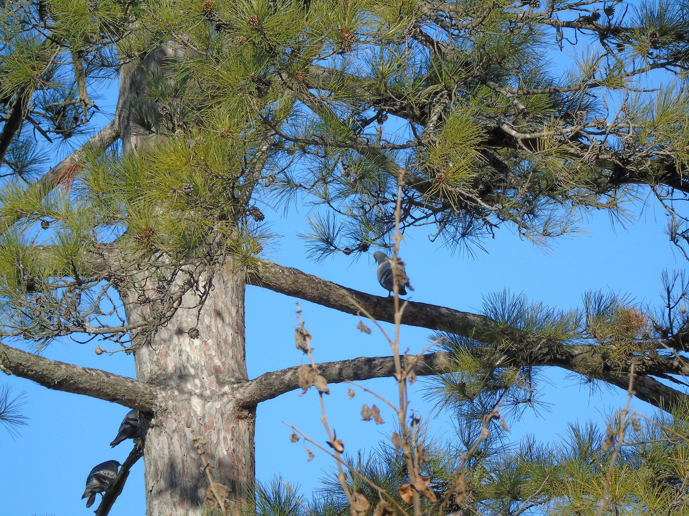 Salite forza vi aspetto!