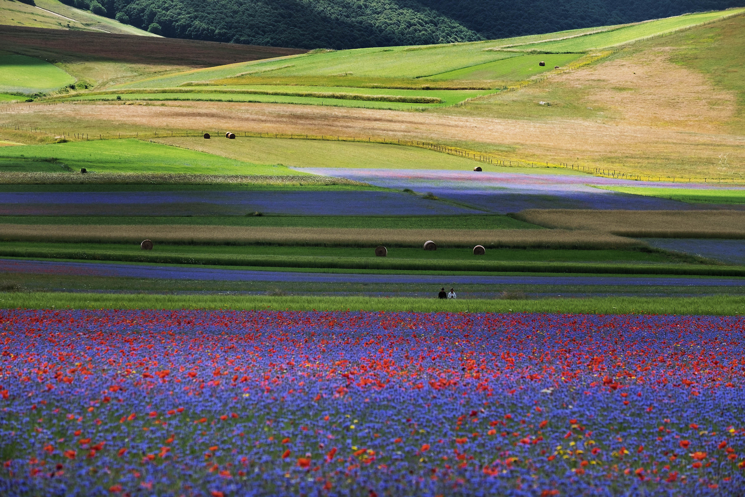 Castelluccio 2