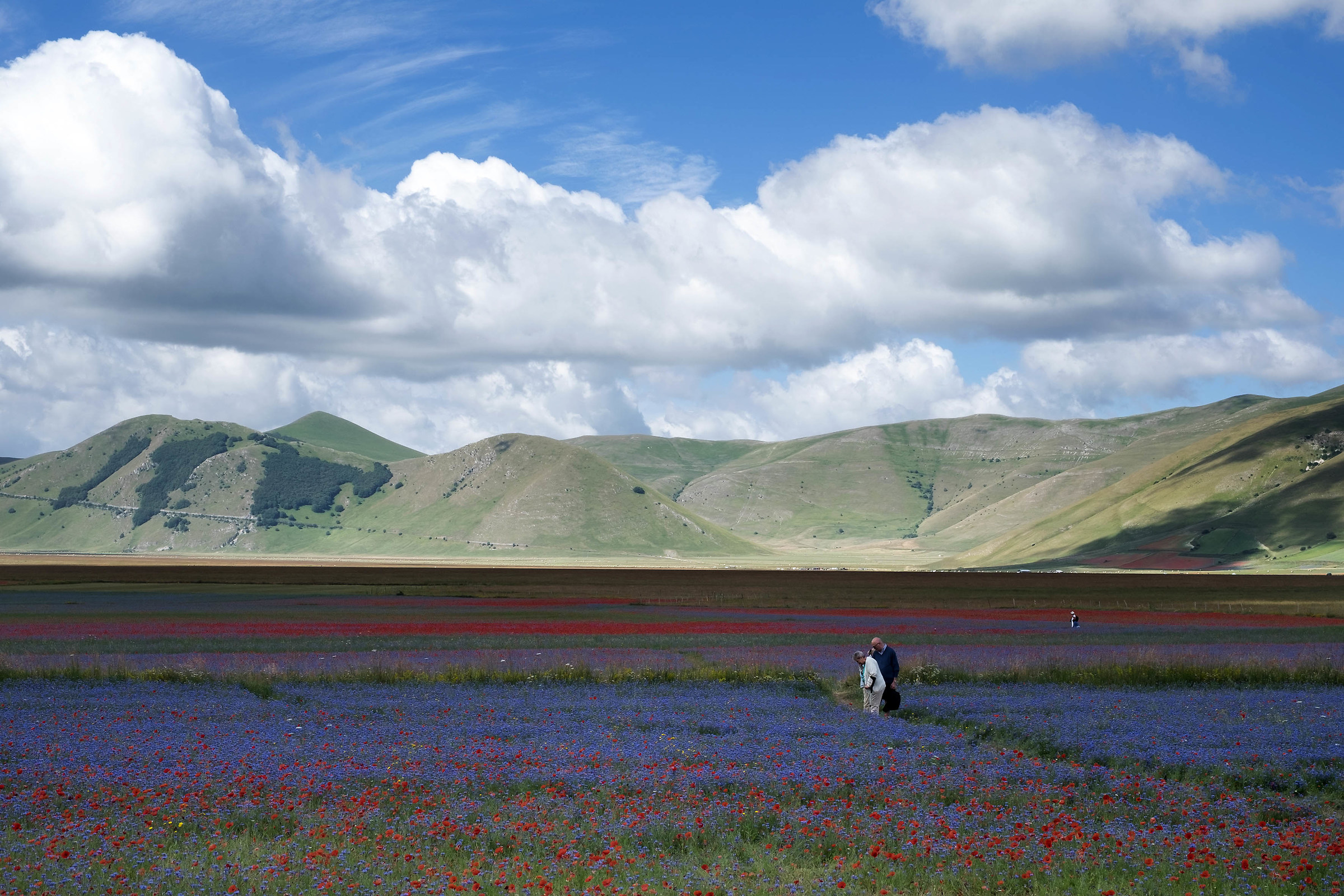 Castelluccio di Norcia 3
