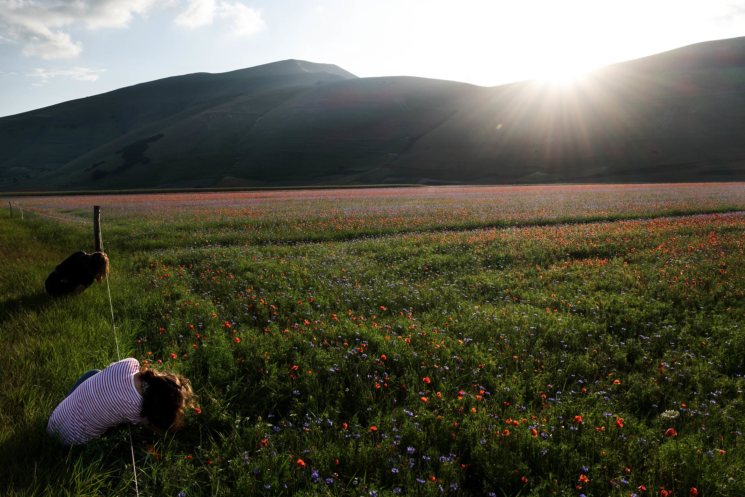 Castelluccio di Norcia 7