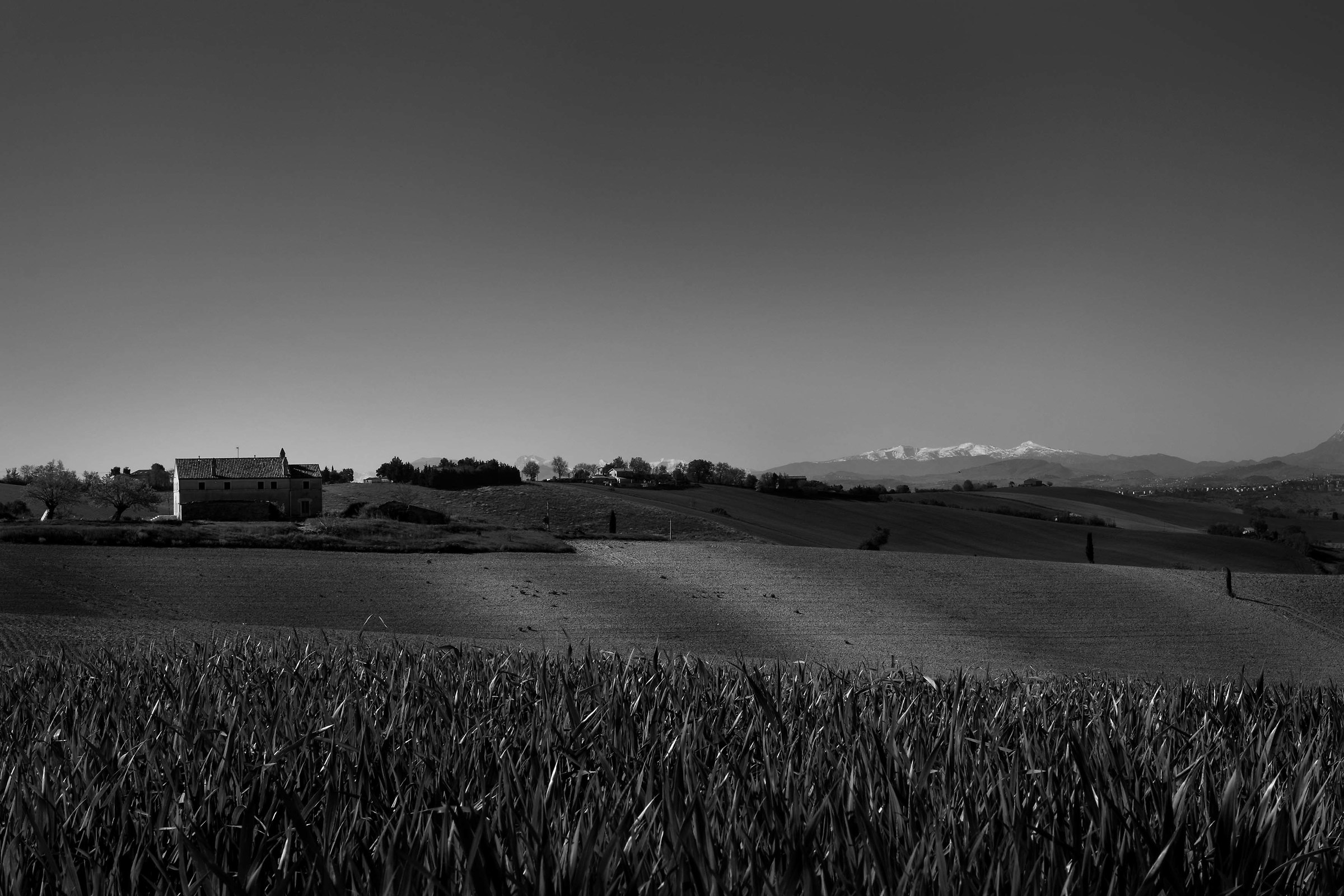 Marche countryside 1