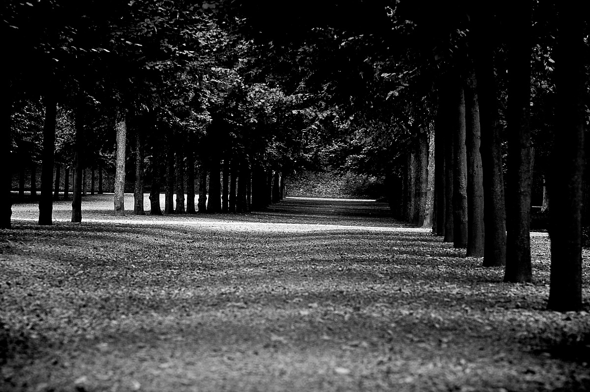 Gardens of the Palais Royal Swedish