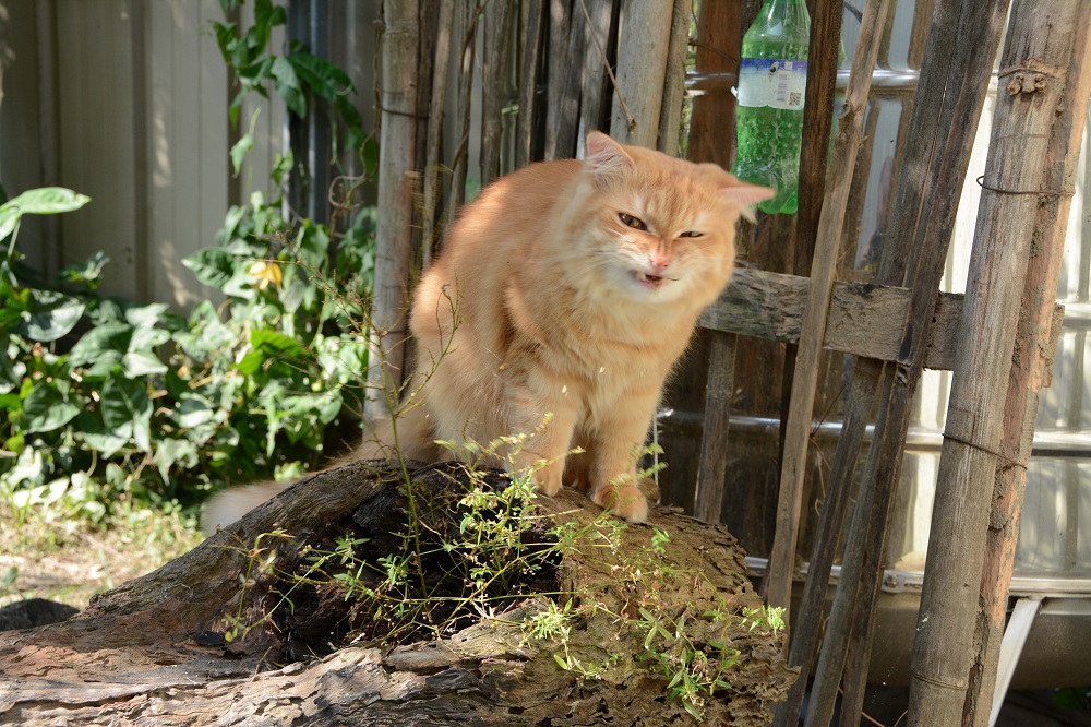 ammazza che schifo!!!