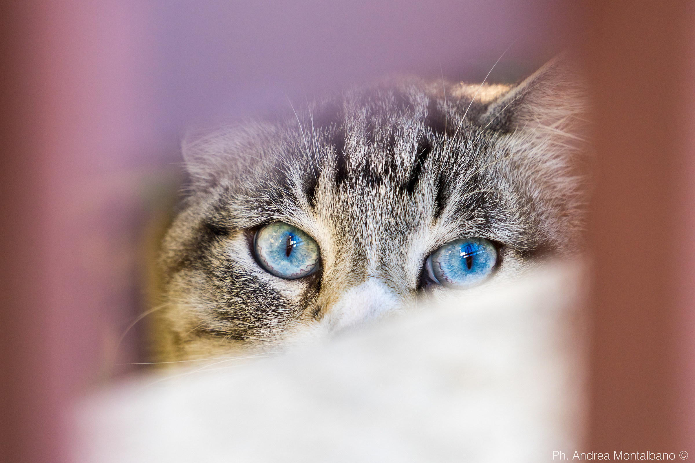 blue eyes