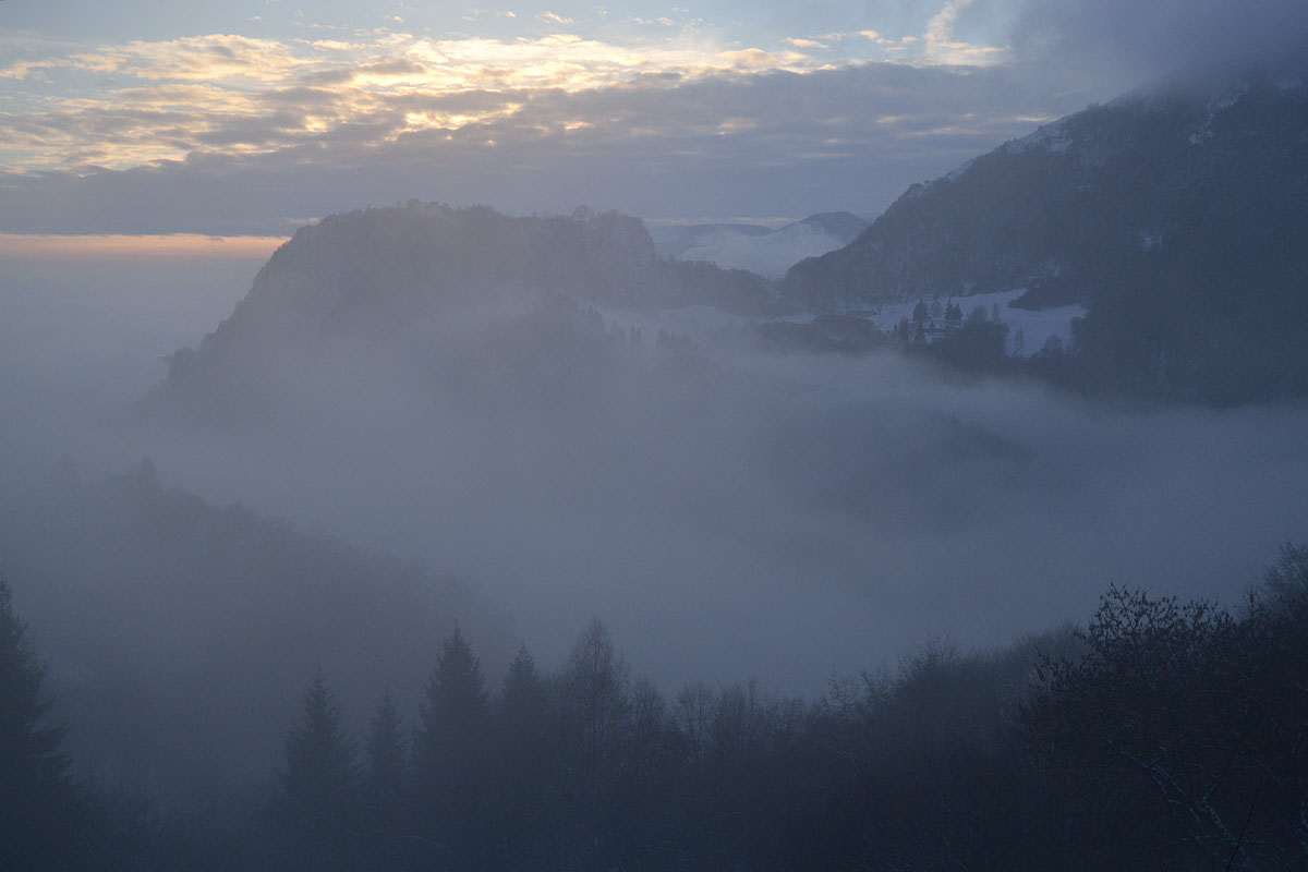 Moving Castle in the Mist