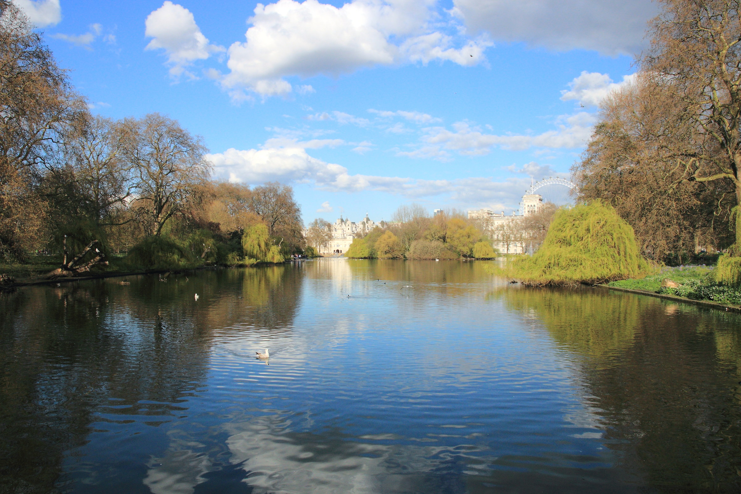 London, pond in the park