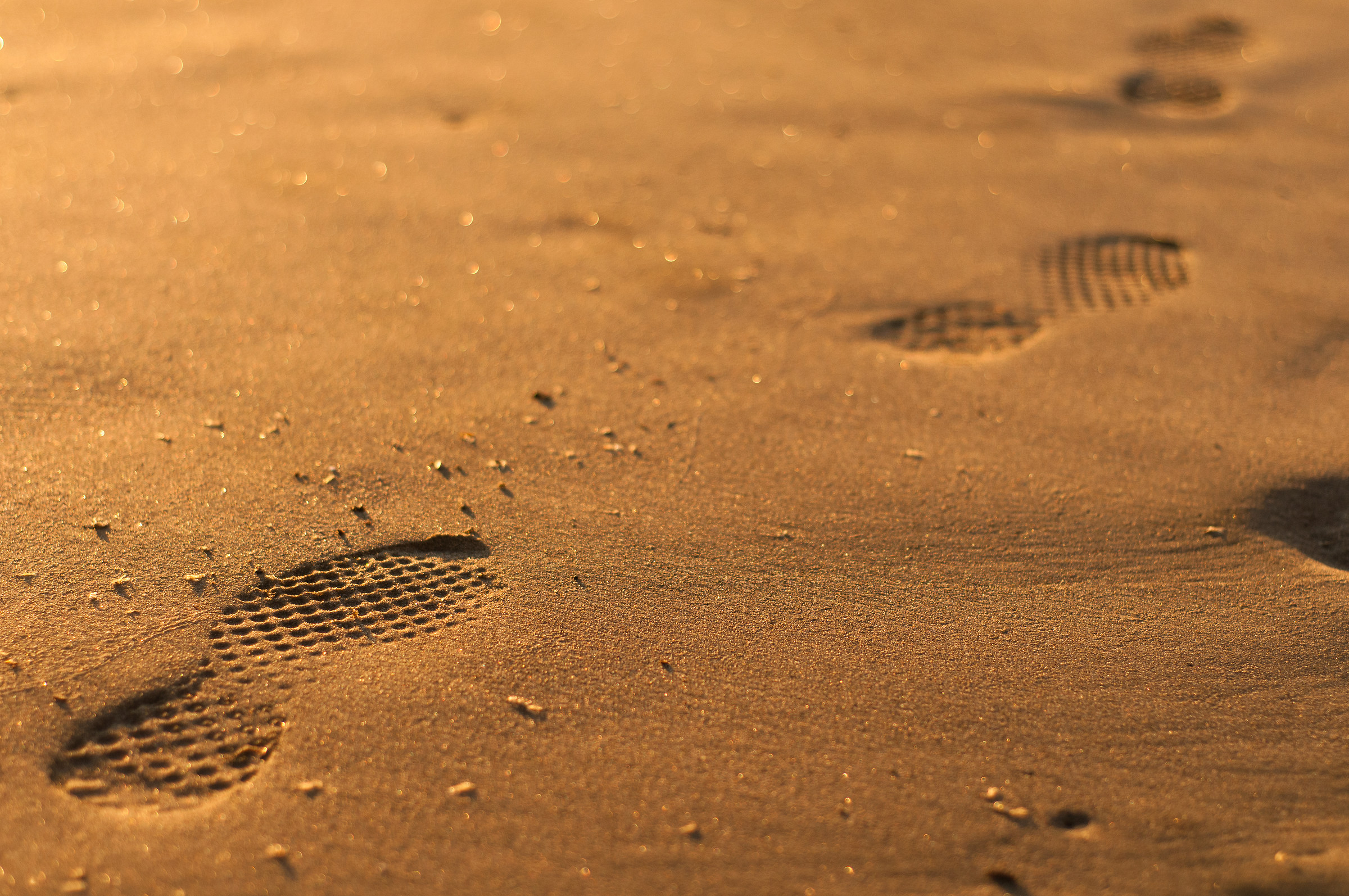 Footprints in the Sand