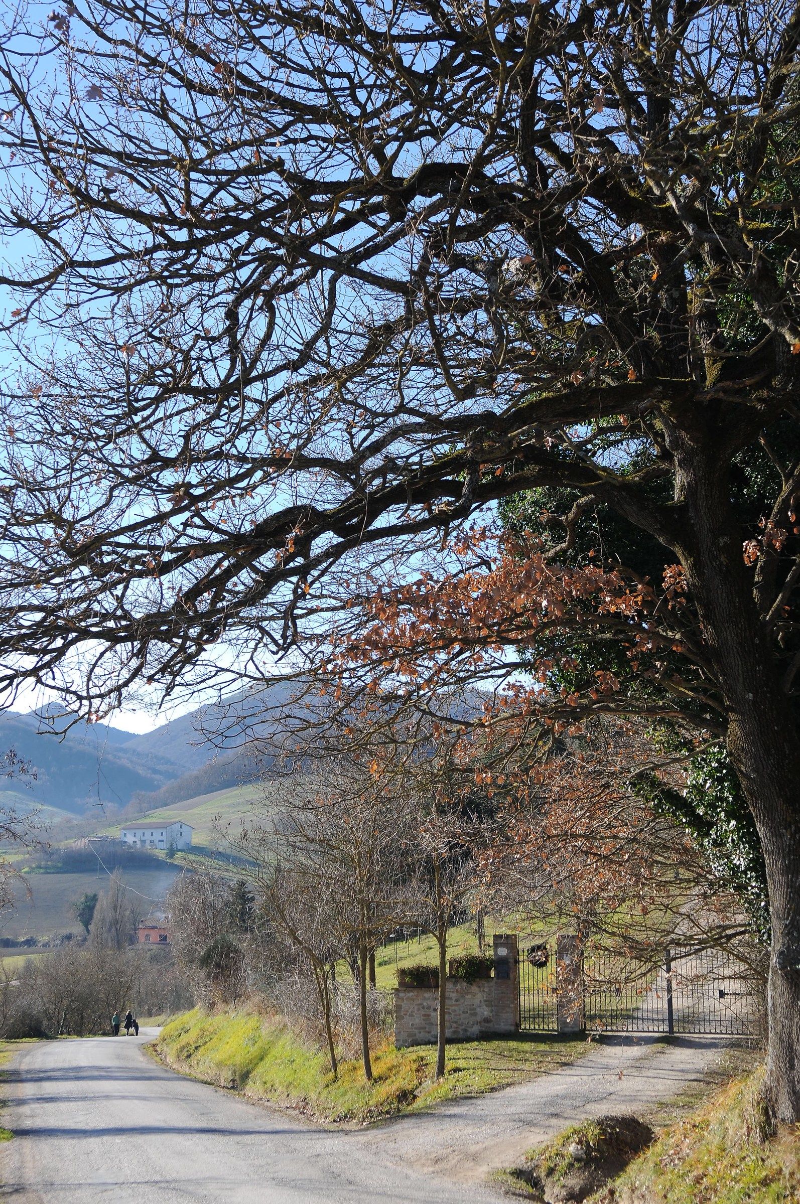 Two steps fietro home ....