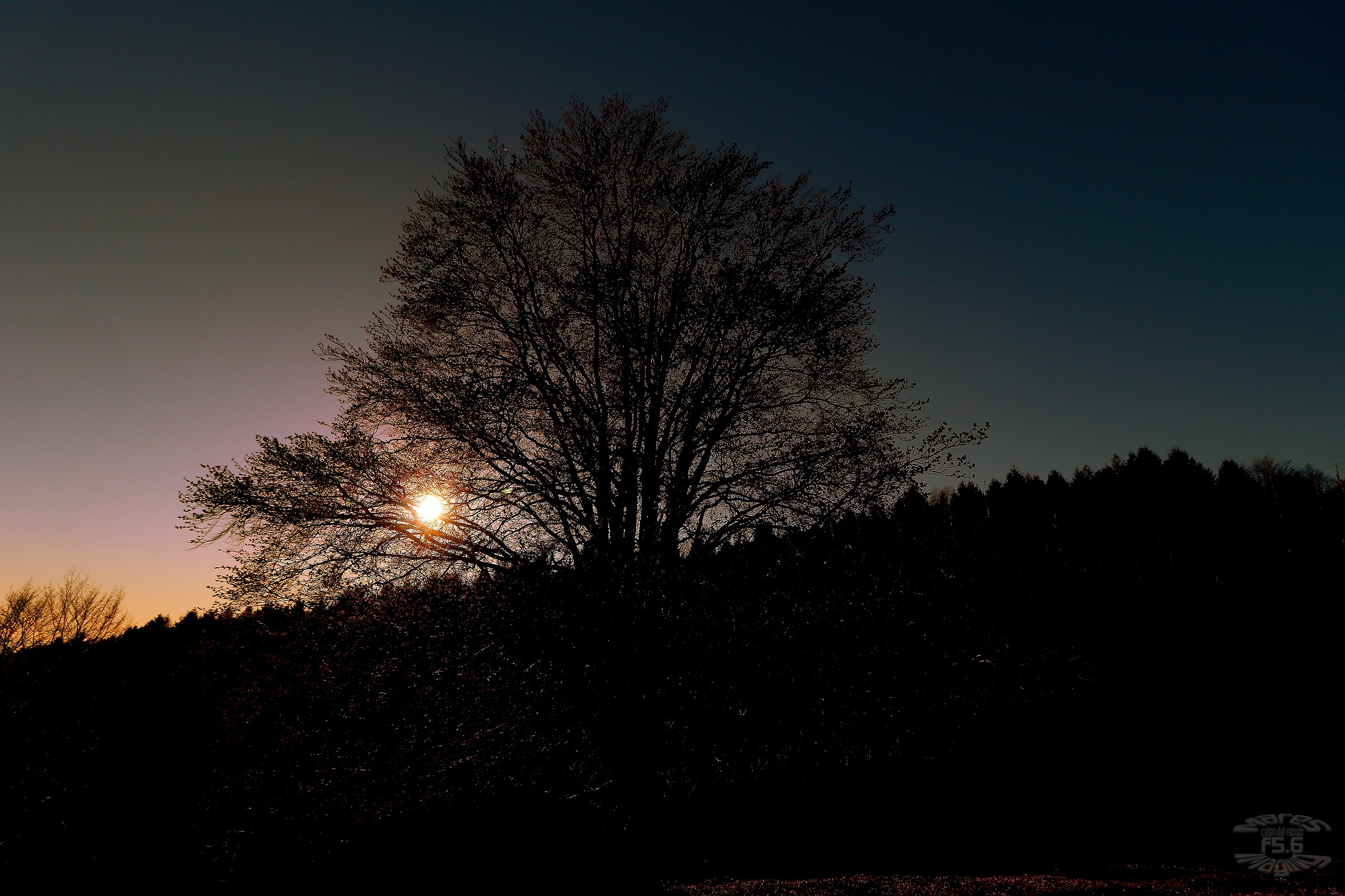 Il Faggio saluta il sole