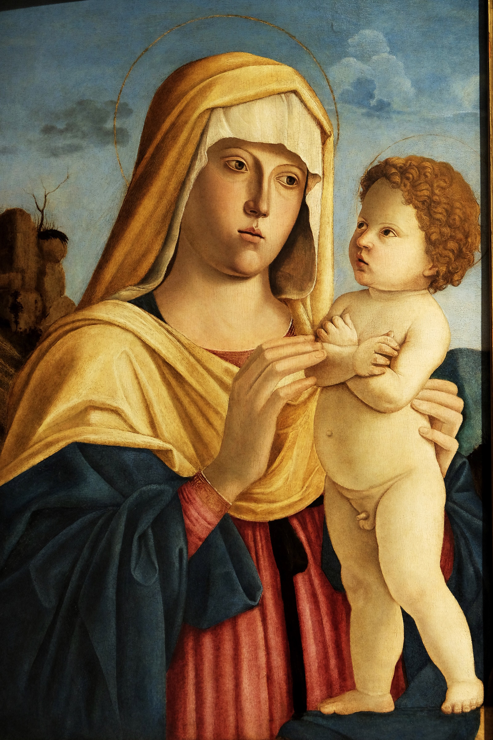 Cima da Conegliano, Madonna and Child