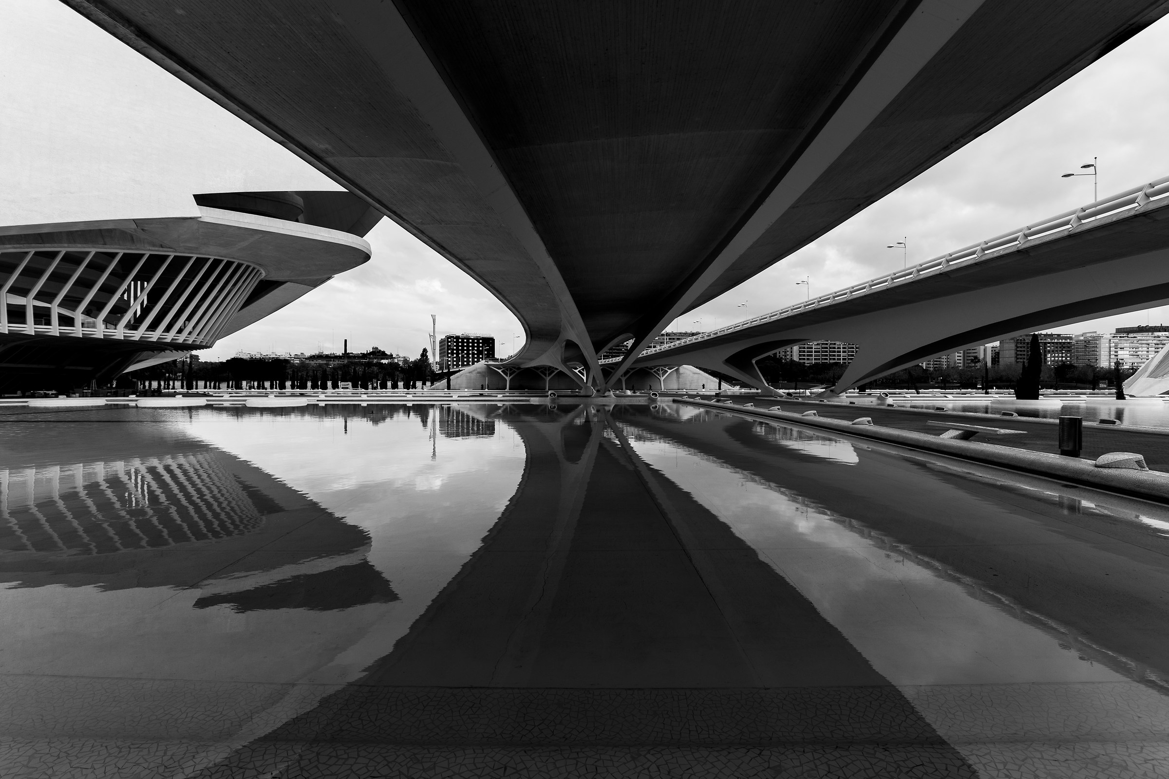 Calatrava Lines