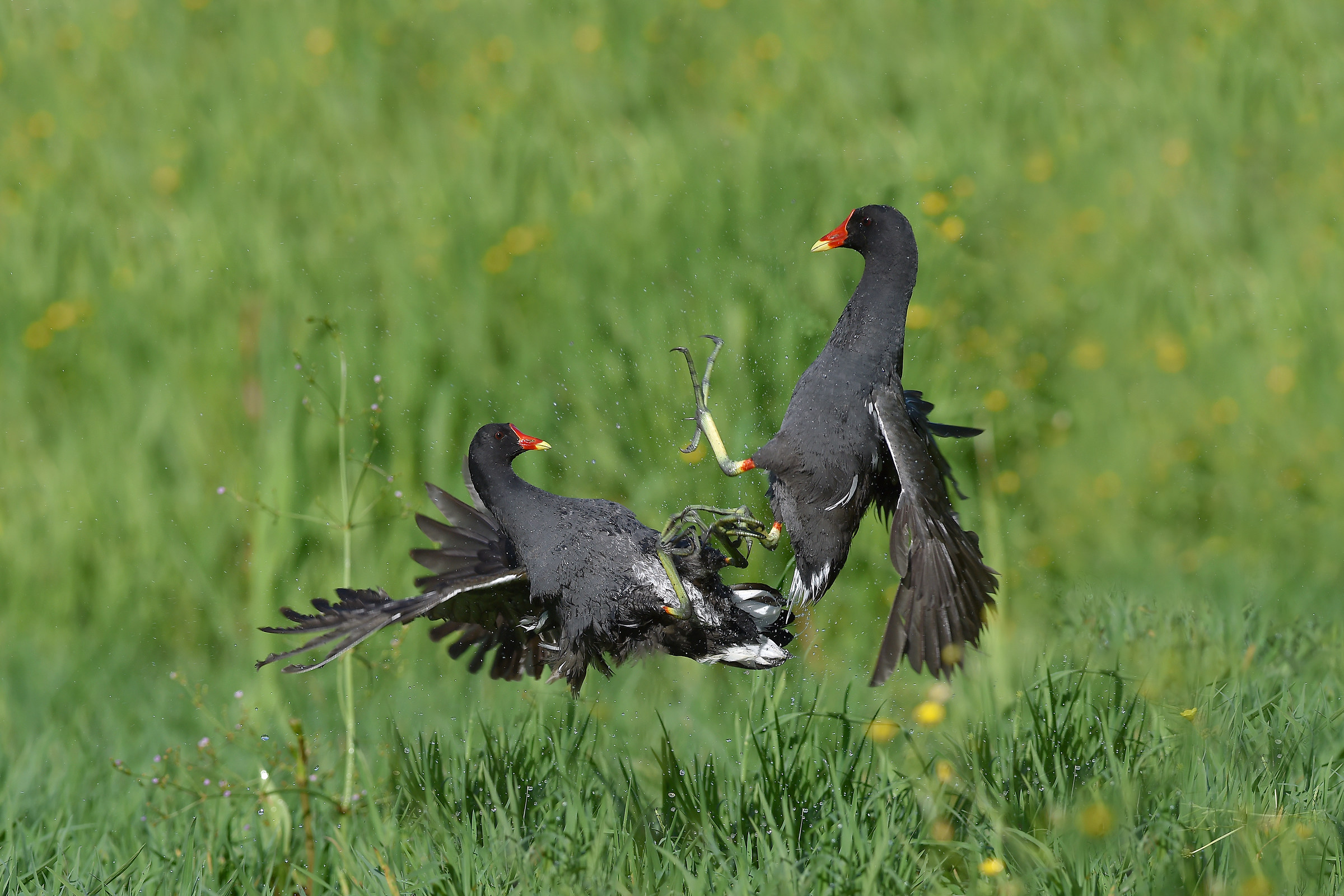 We do not expect the wind