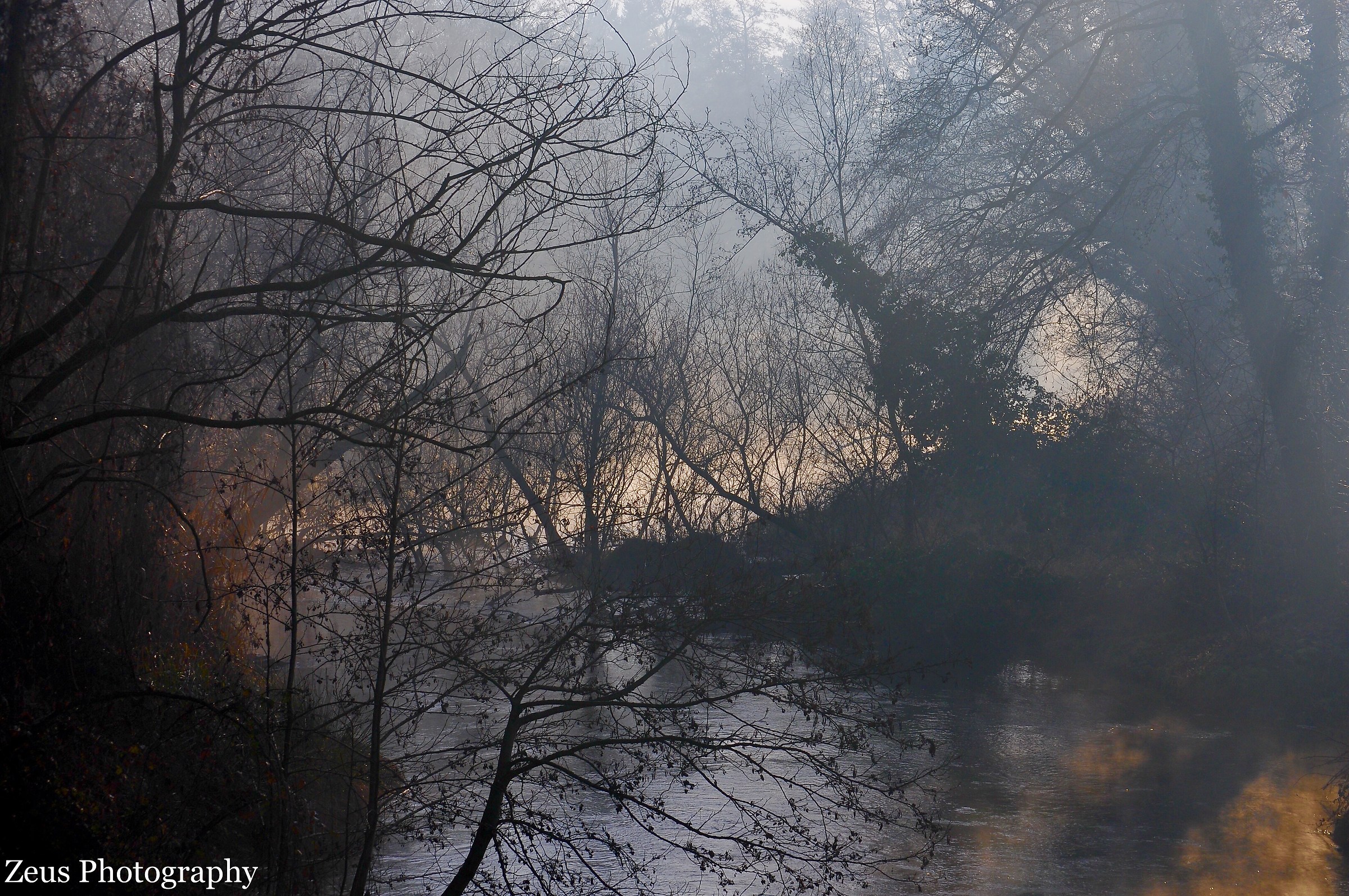 The awakening in St. Stephen