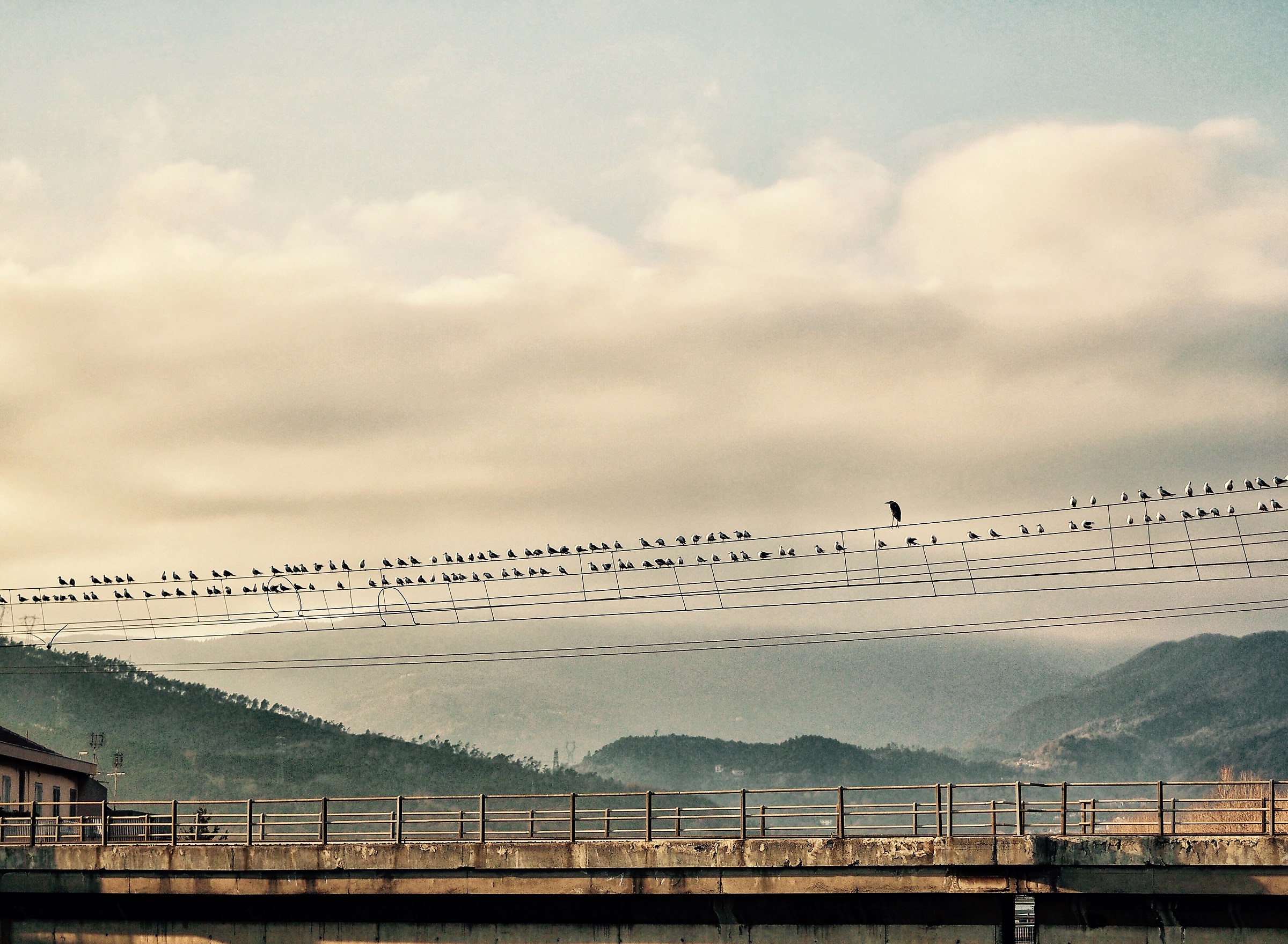 Camouflage ... You're doing it wrong !!