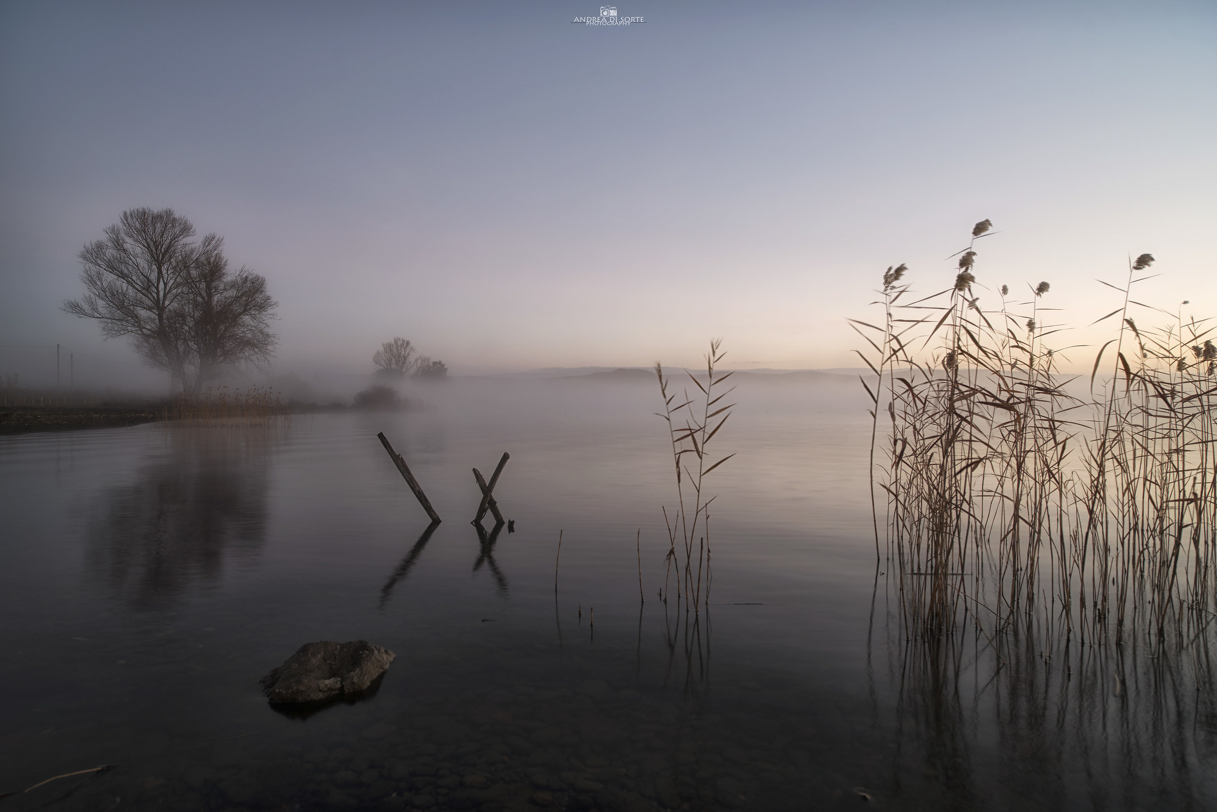 La mattina all'alba.. dove la realtà è un&...