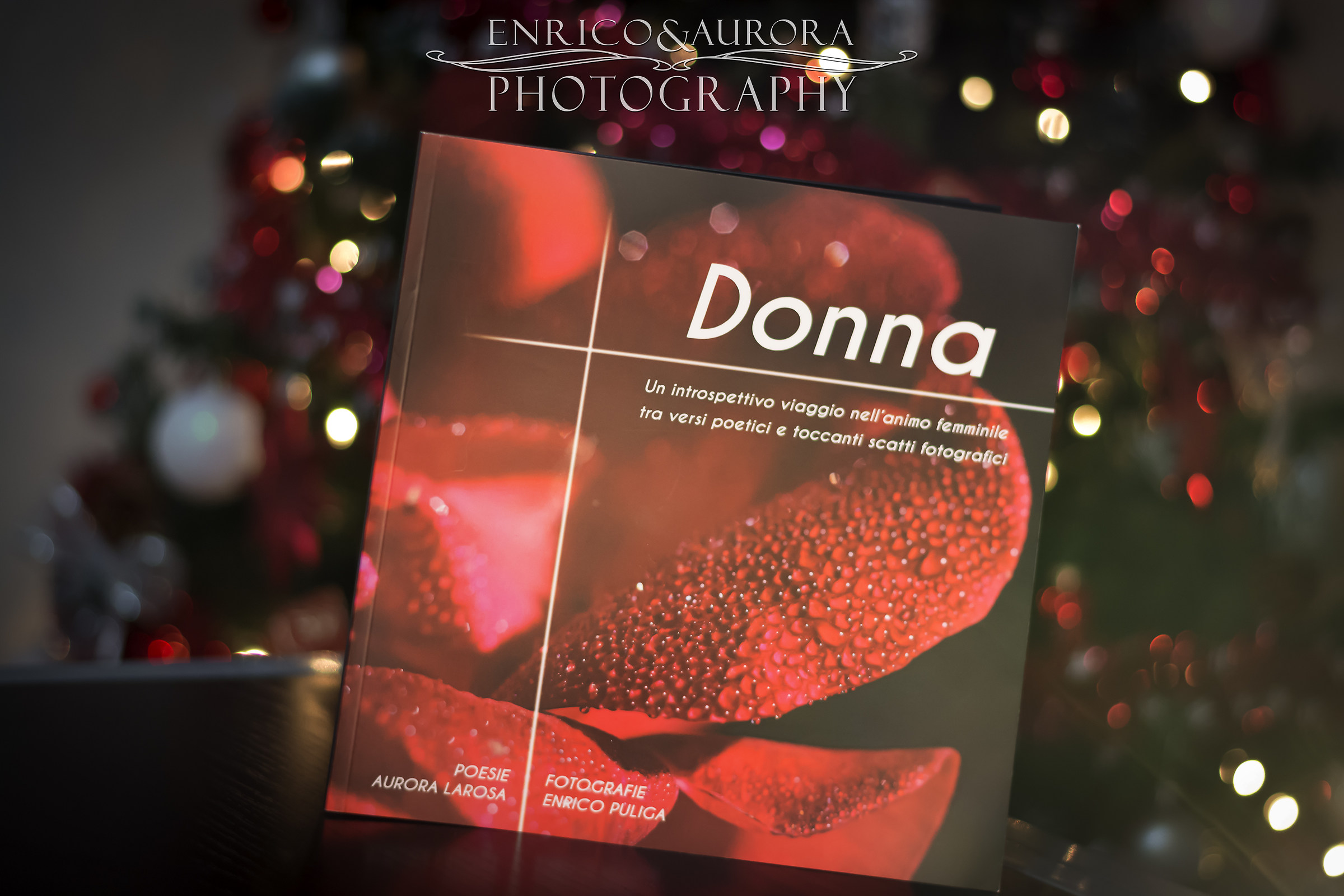 Questa è la nostra prima opera pubblicata...