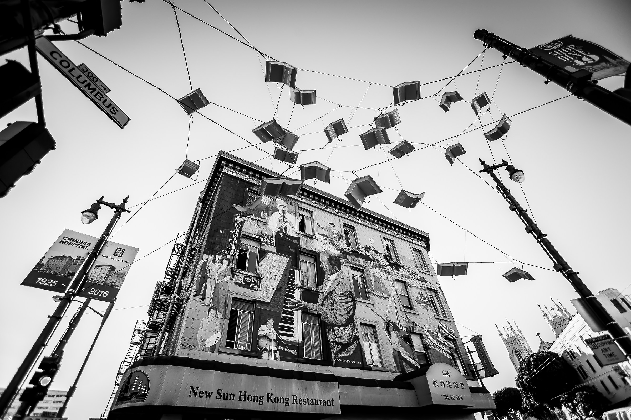 Little Italy Books suspended