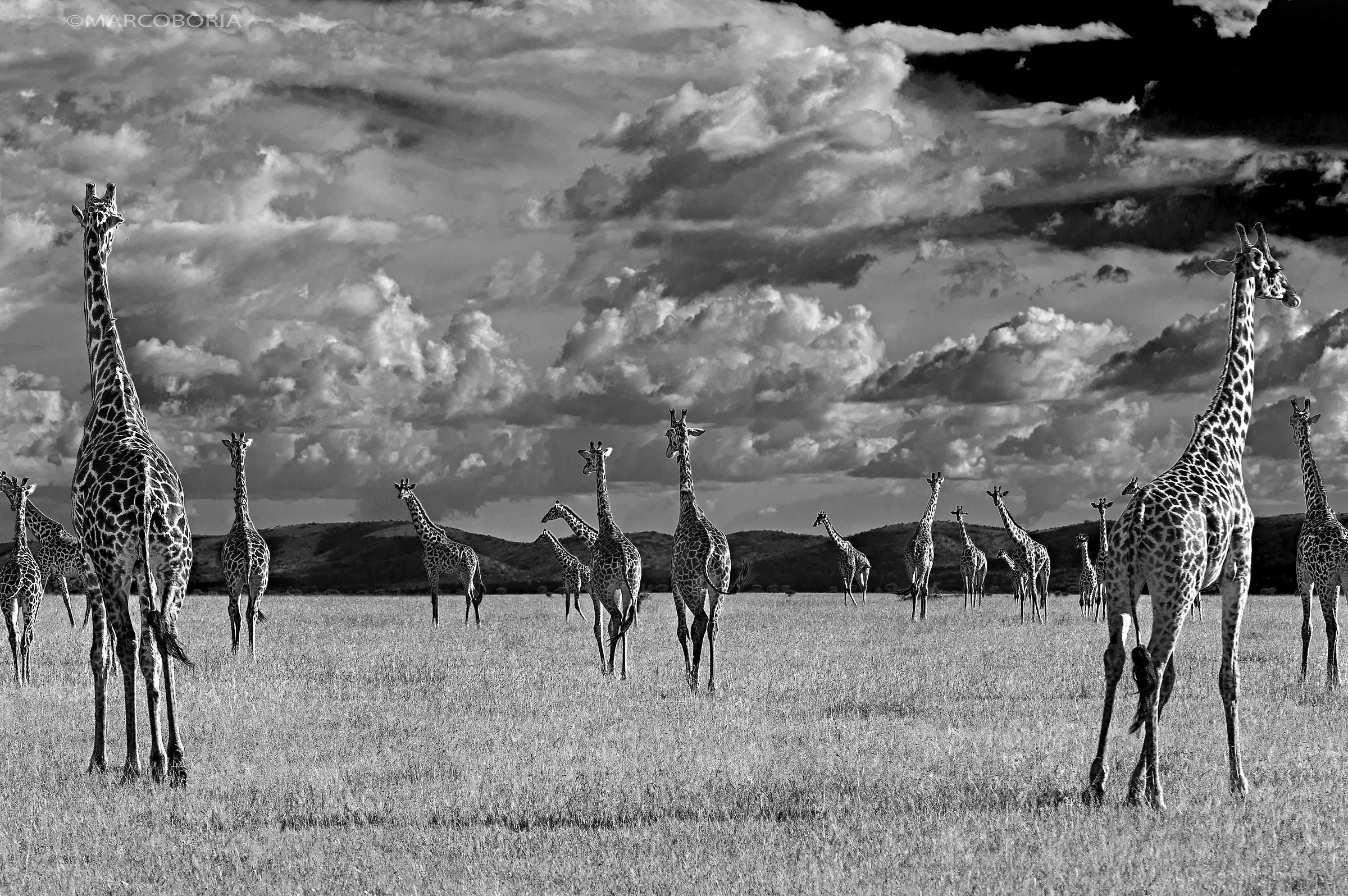 Grumeti, Tanzania Private Reserve