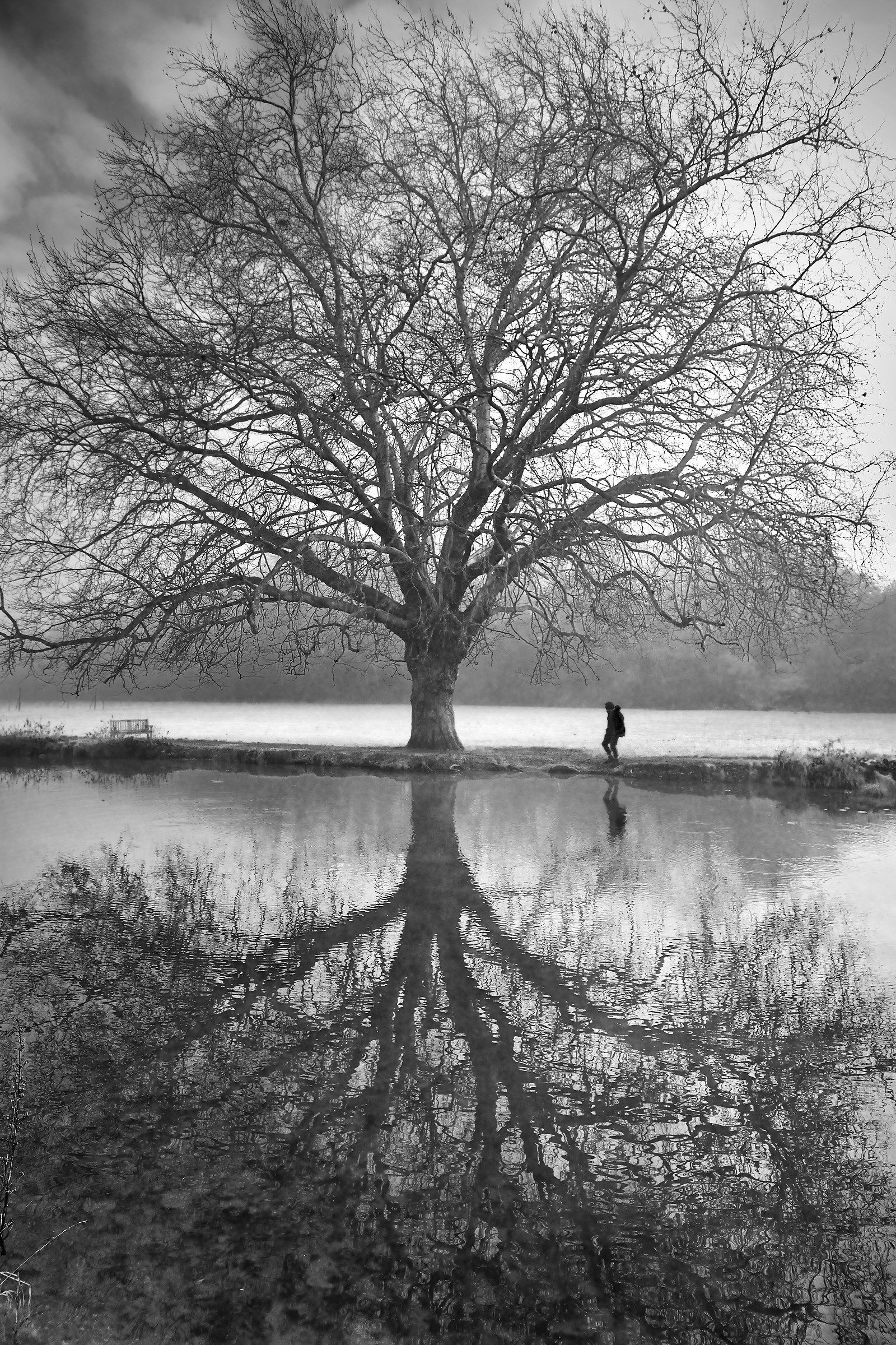 A Winter's Riverside Reflection