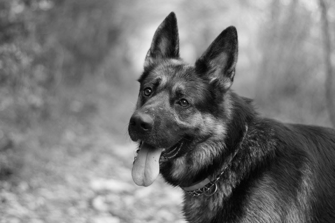 posing a moment ....