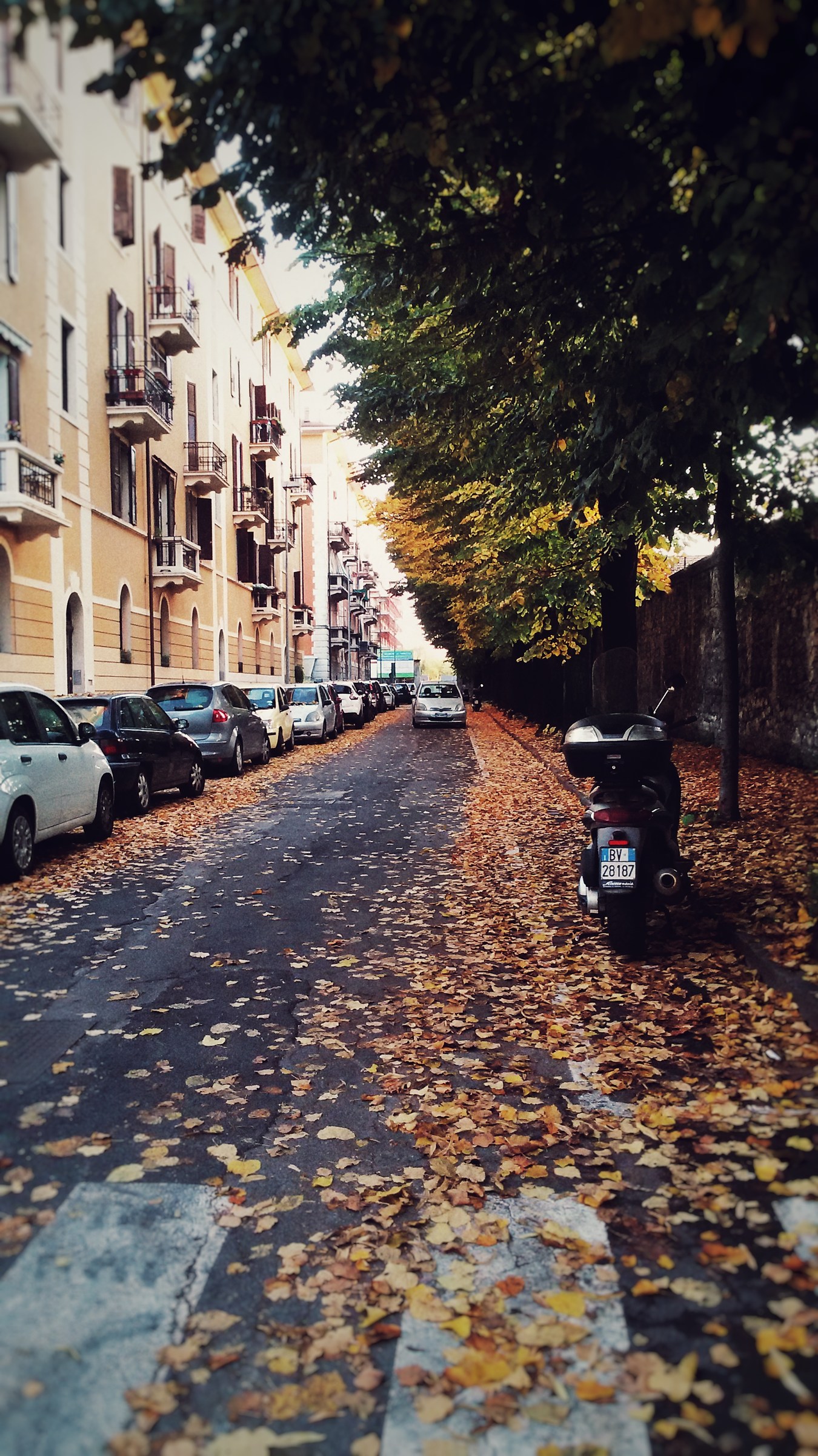 Verona, on a Friday afternoon.