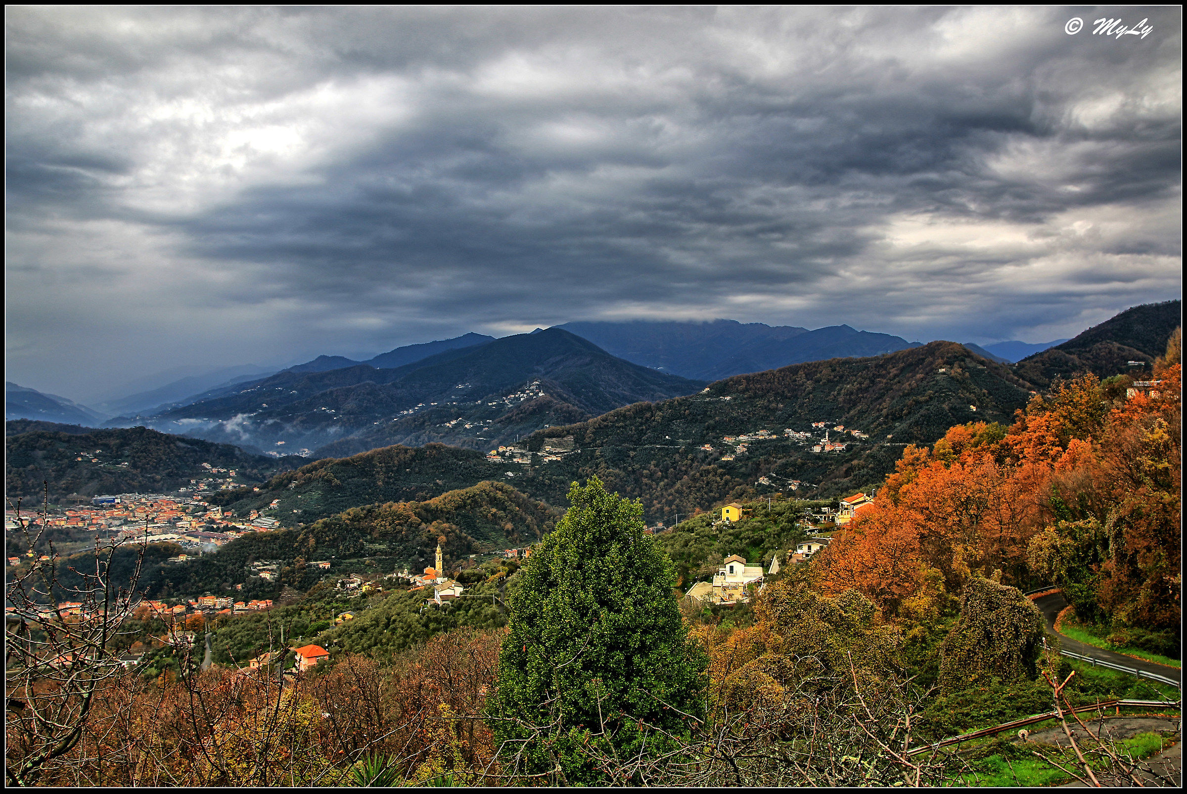 Grey Liguria