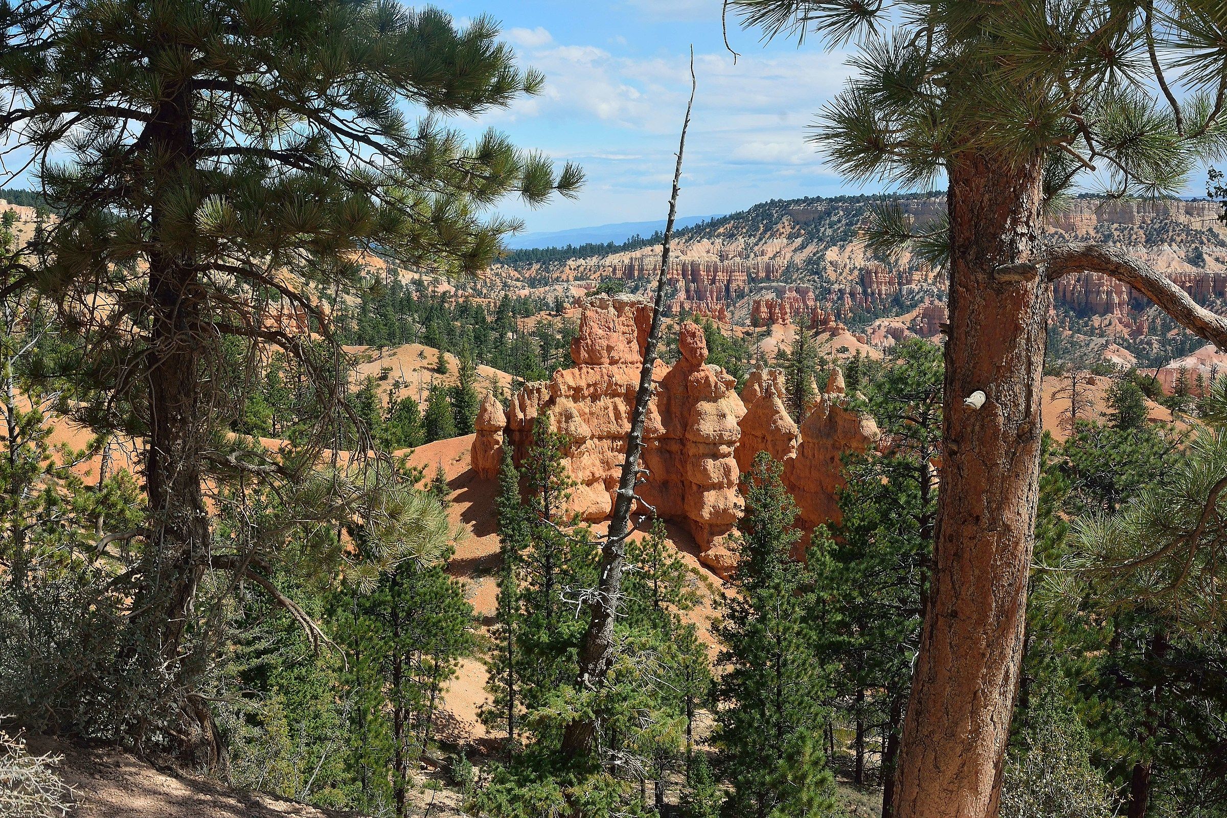 Bryce Canyon