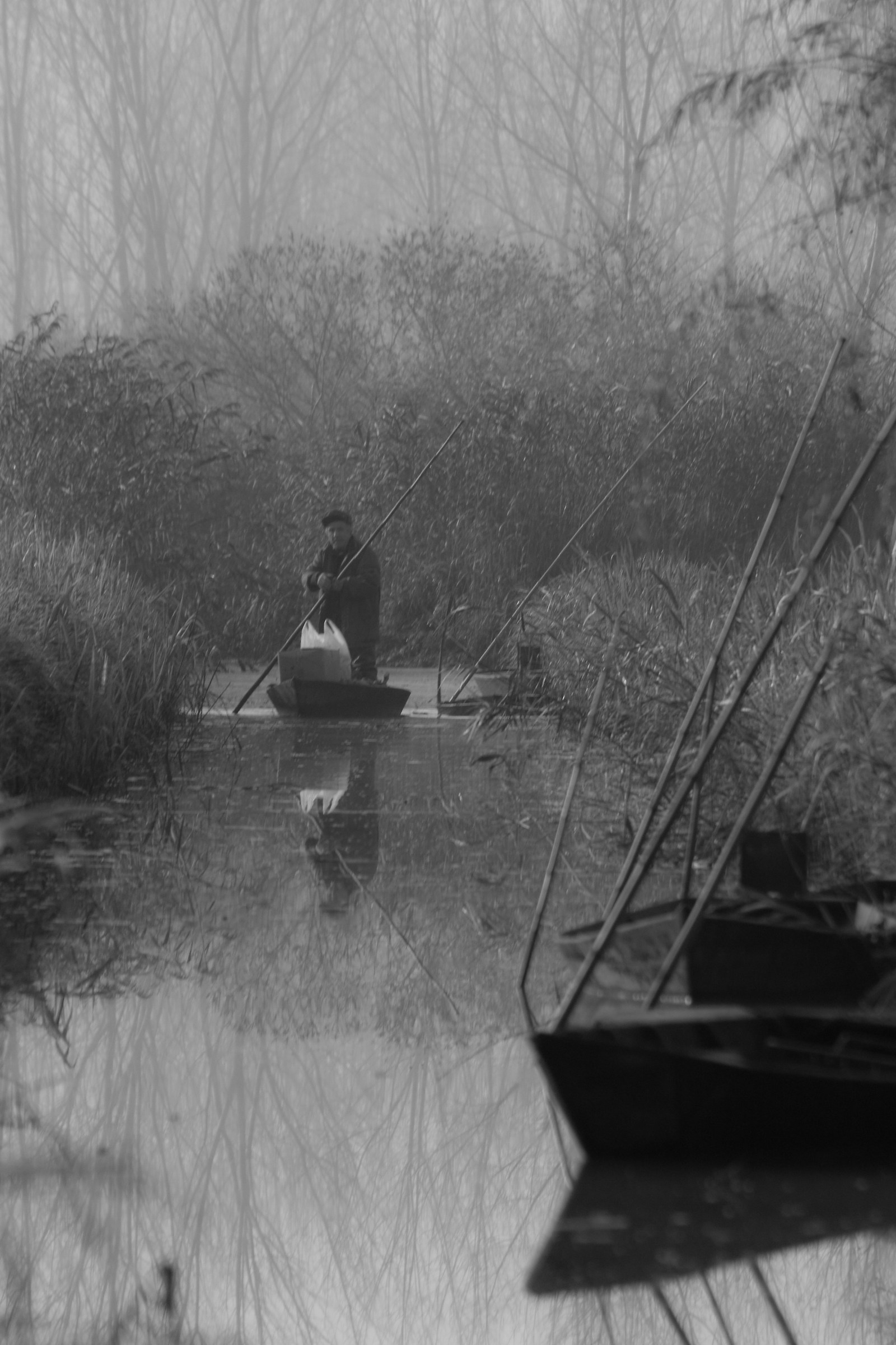 Marshes day Fucecchio