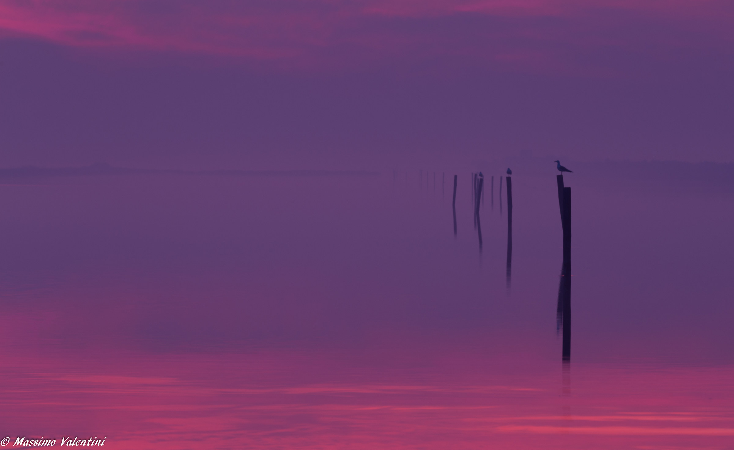 Sunset in Comacchio valleys