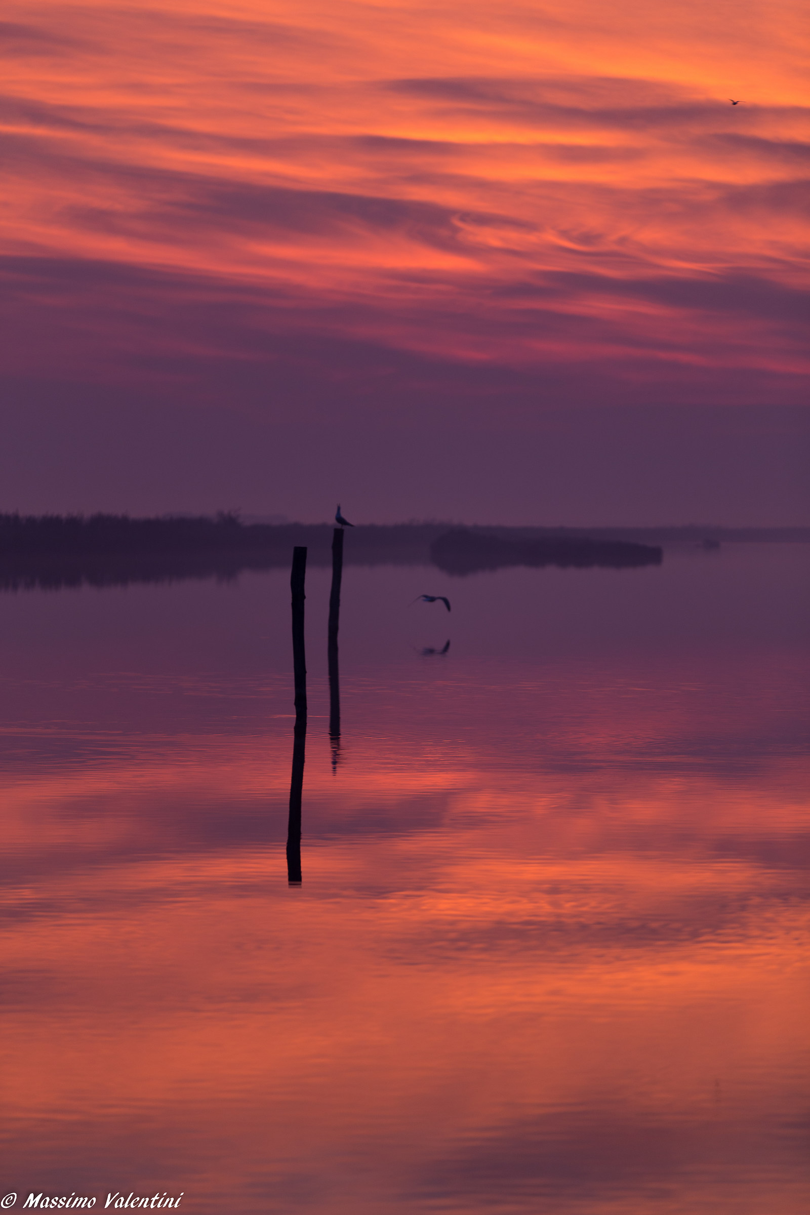 Sunset in Comacchio valleys
