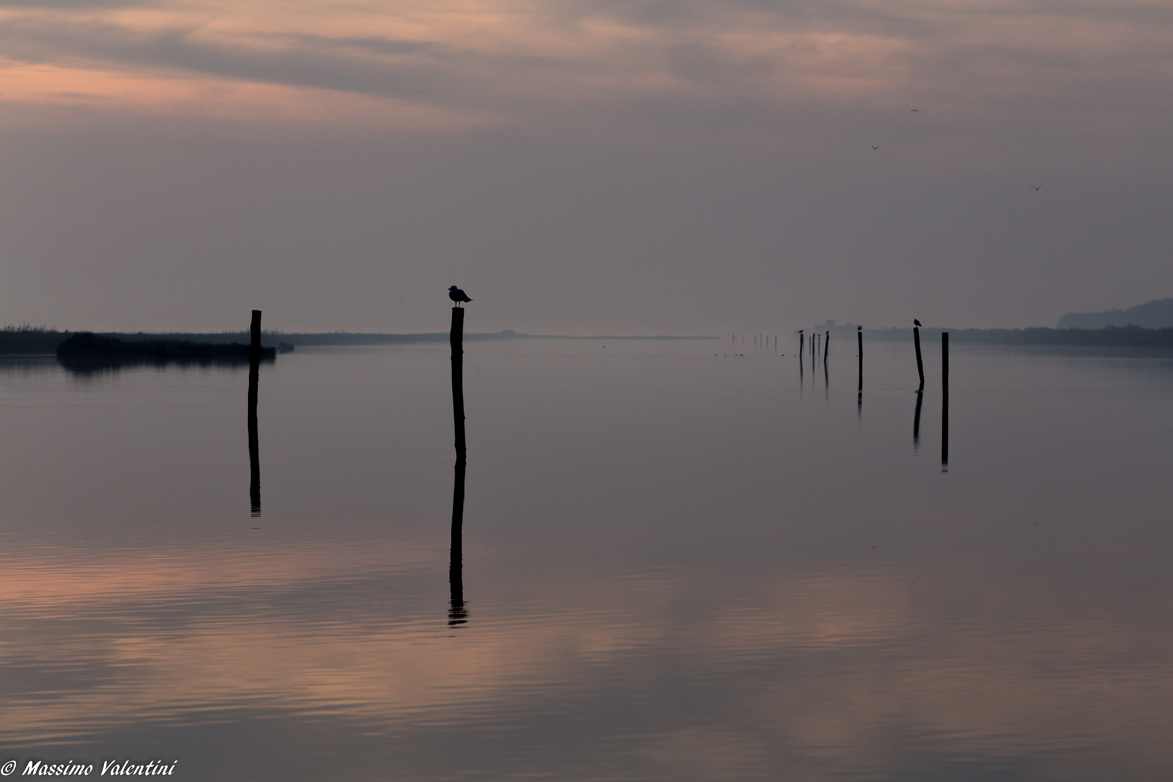 Fog in Comacchio valleys