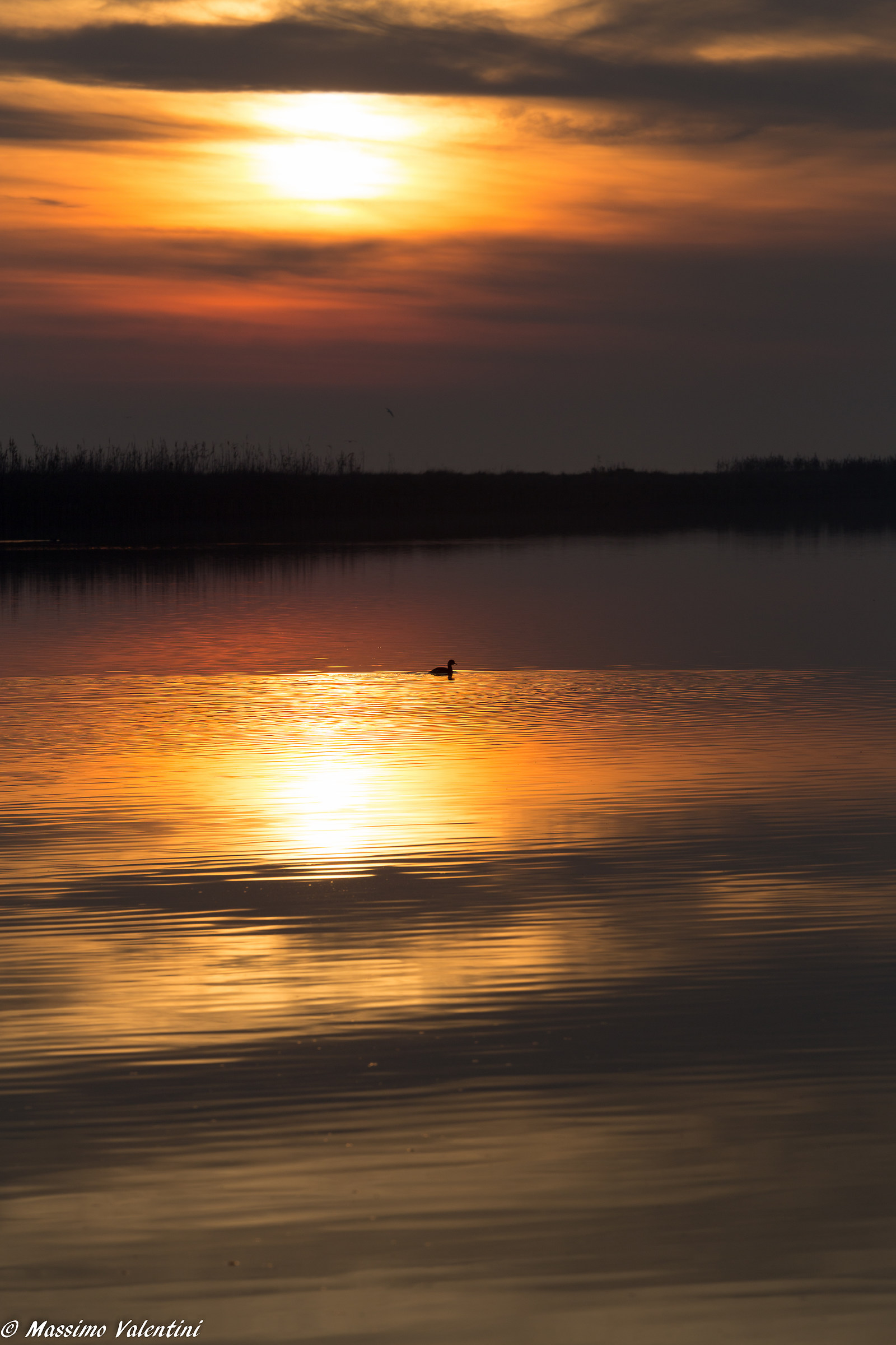 Sunset in Comacchio valleys