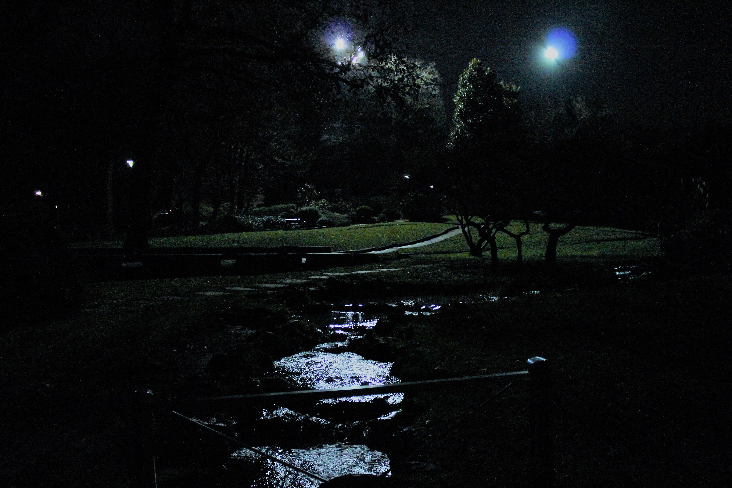 Reflection artificial