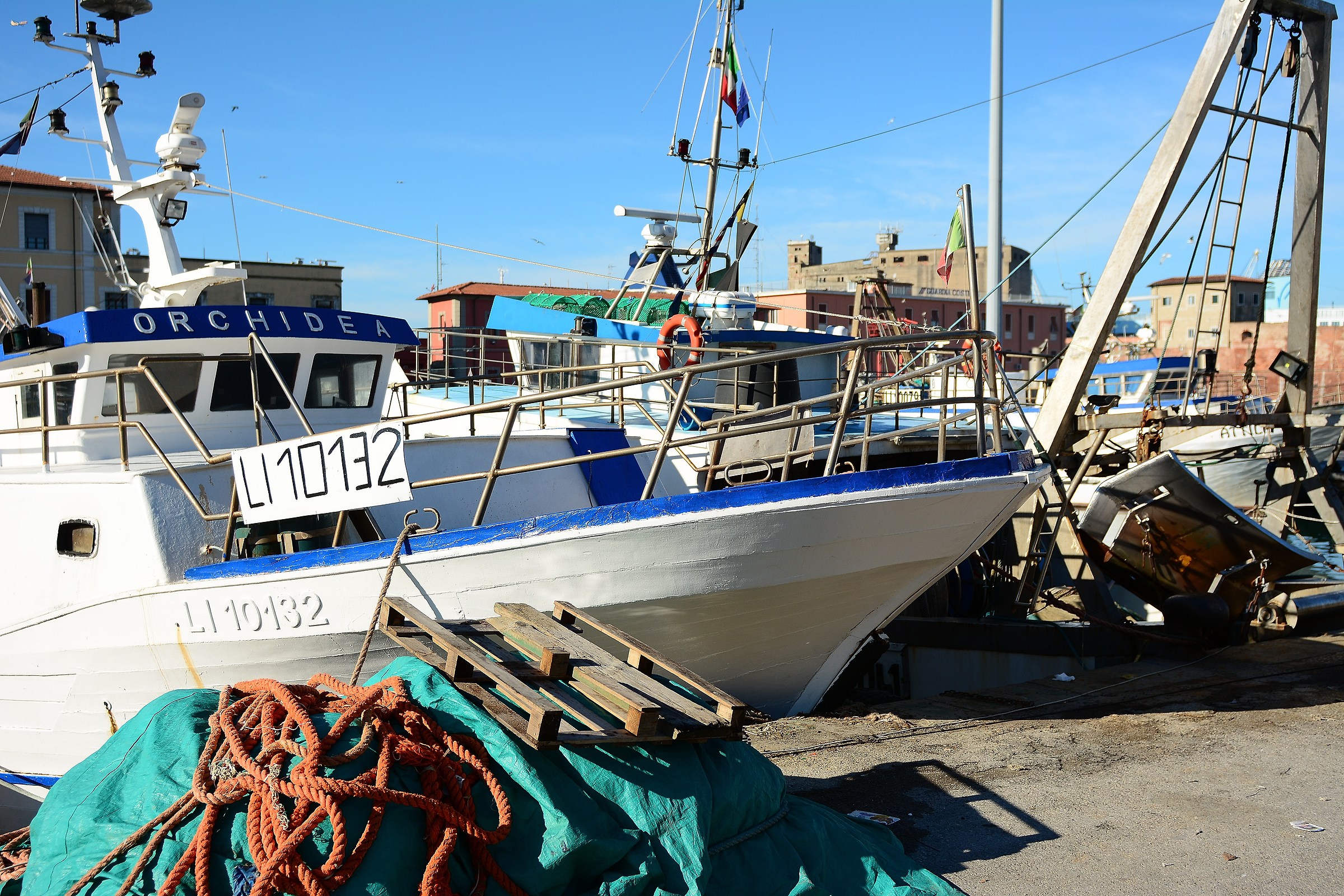 Livorno Venice neighborhood