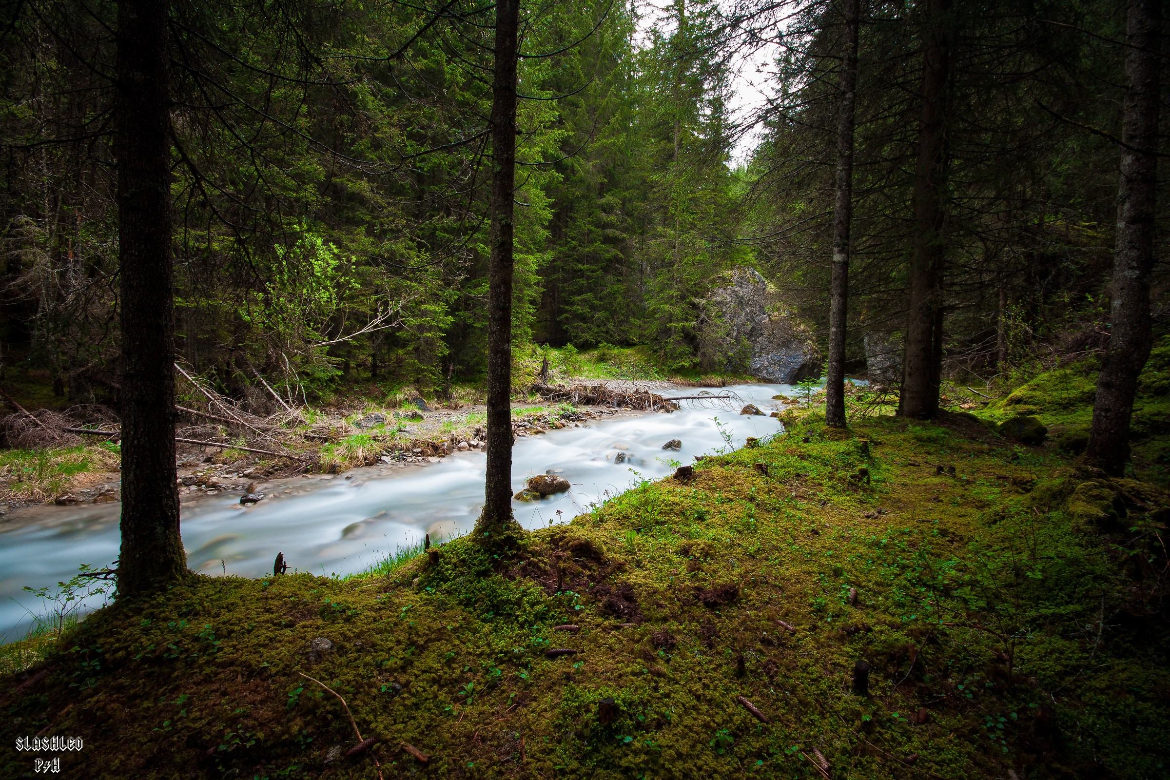 Trentino stream 5
