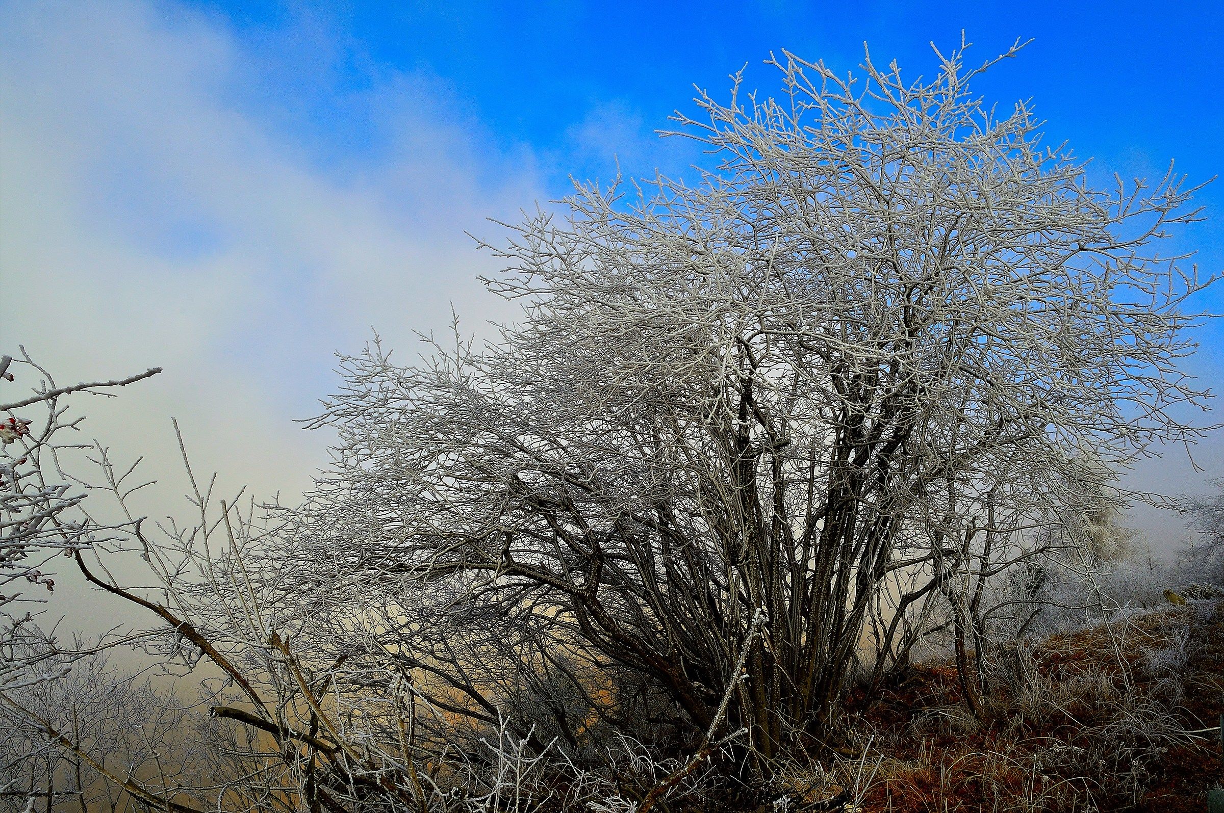 enchanting landscape on the north side of the massif 1
