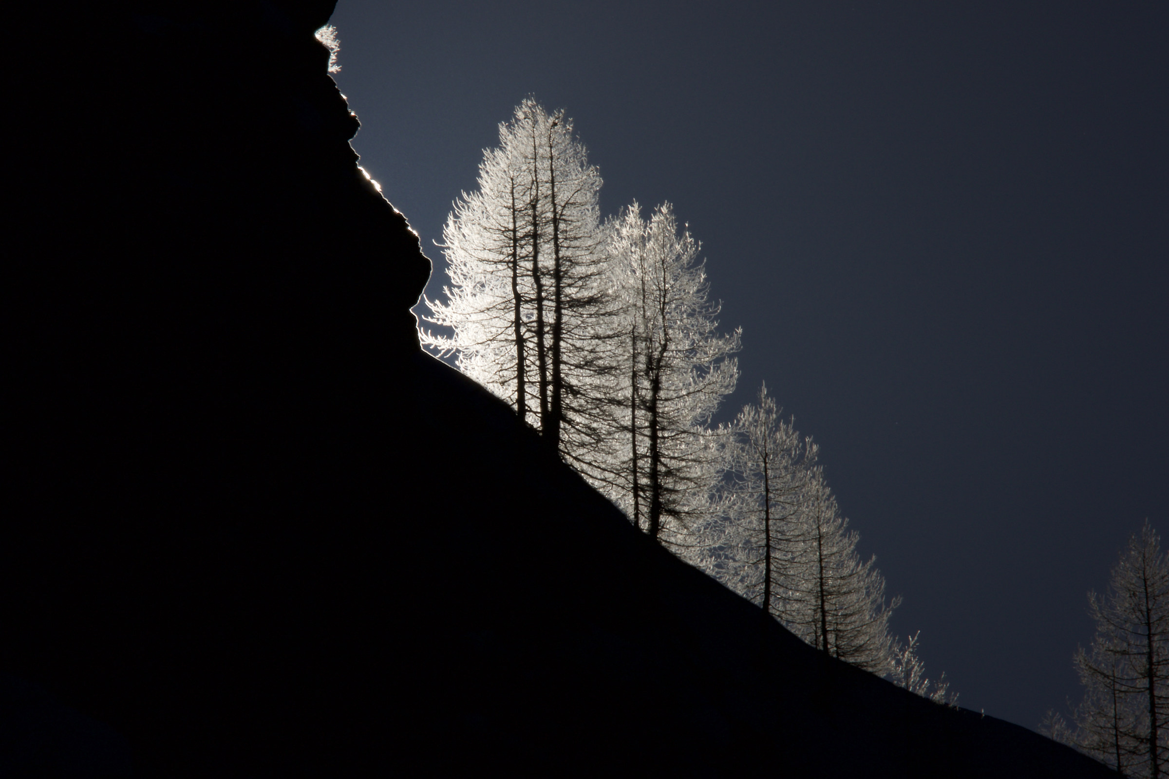 larches to first delsole lights