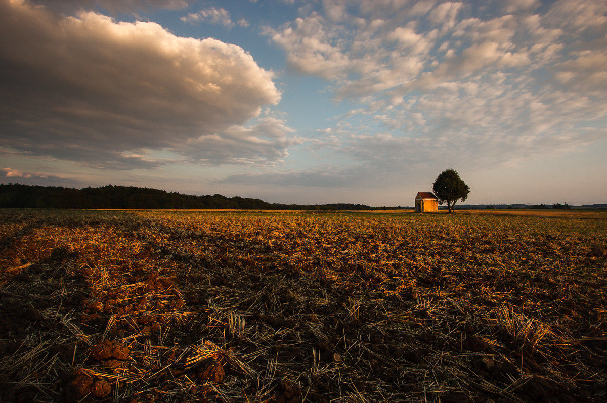 Sulla via per Ratisbona ...