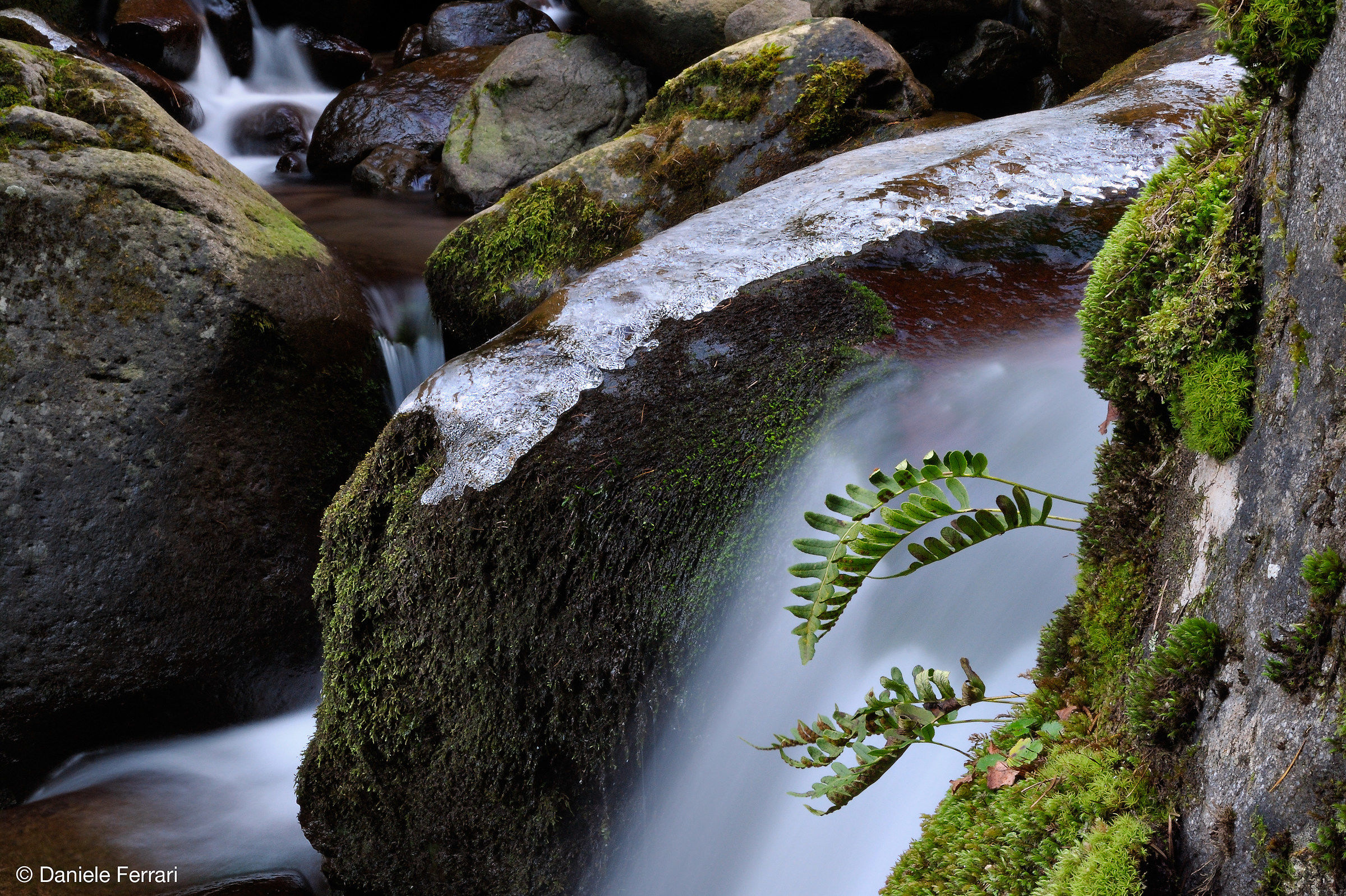 The winter at the gates