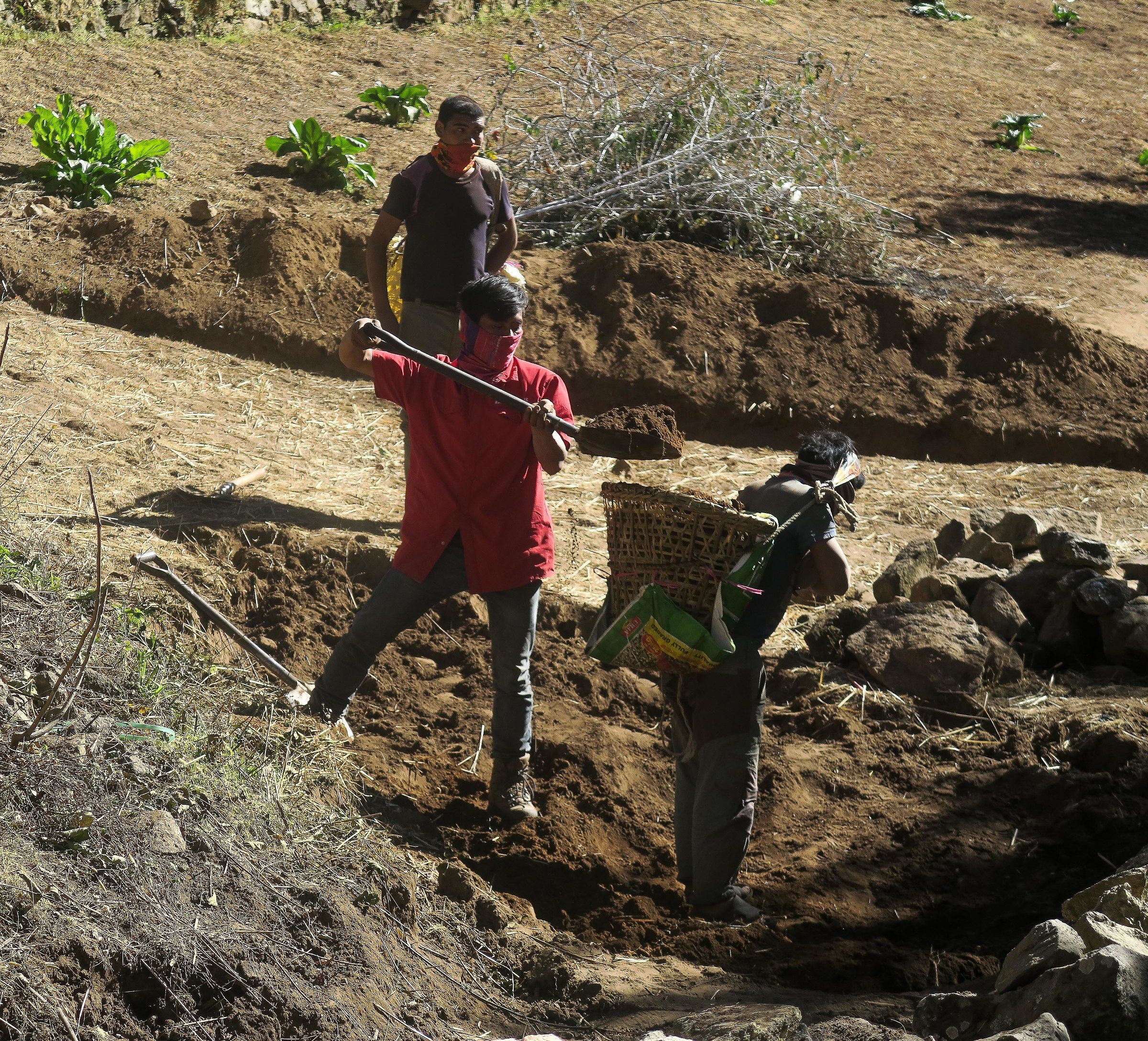 ..in sostituzione della cariola..