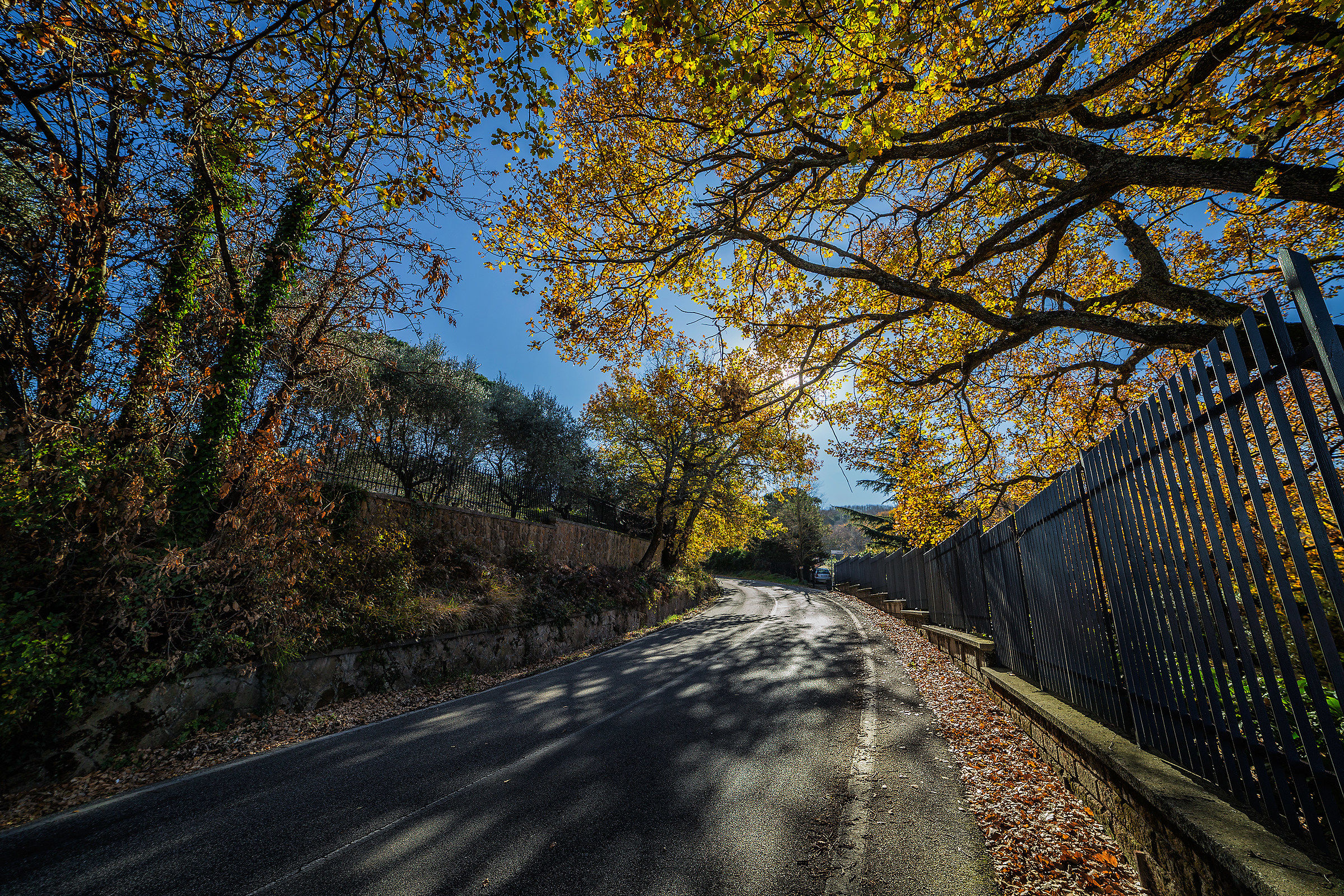 Strada per il tuscolo