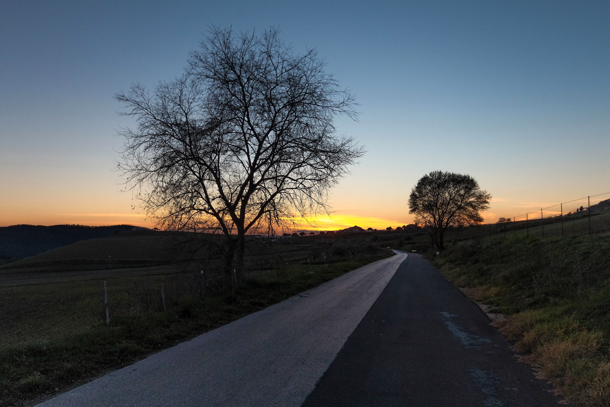 Returning in the evening.