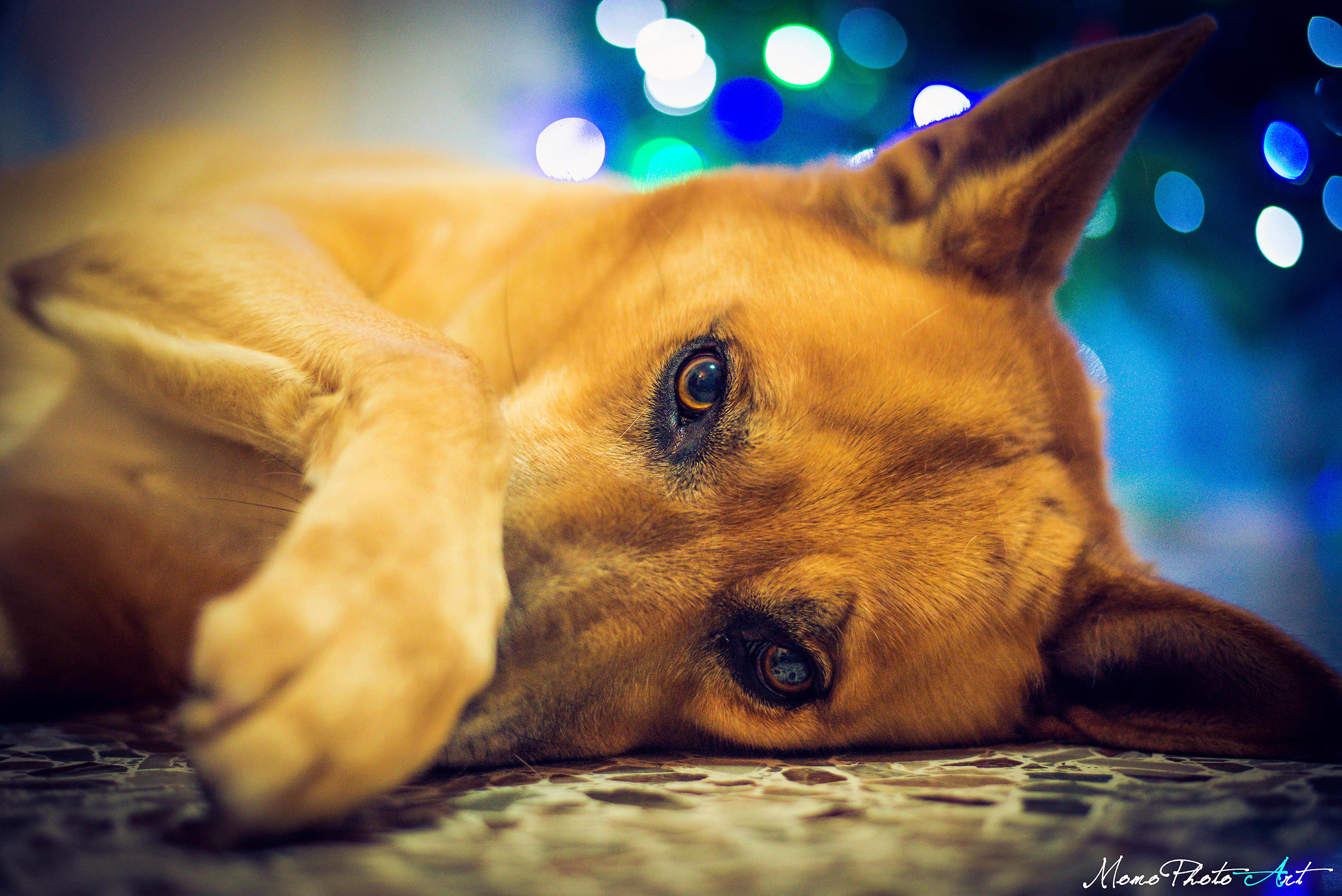 Also good parties by the timidone Joy