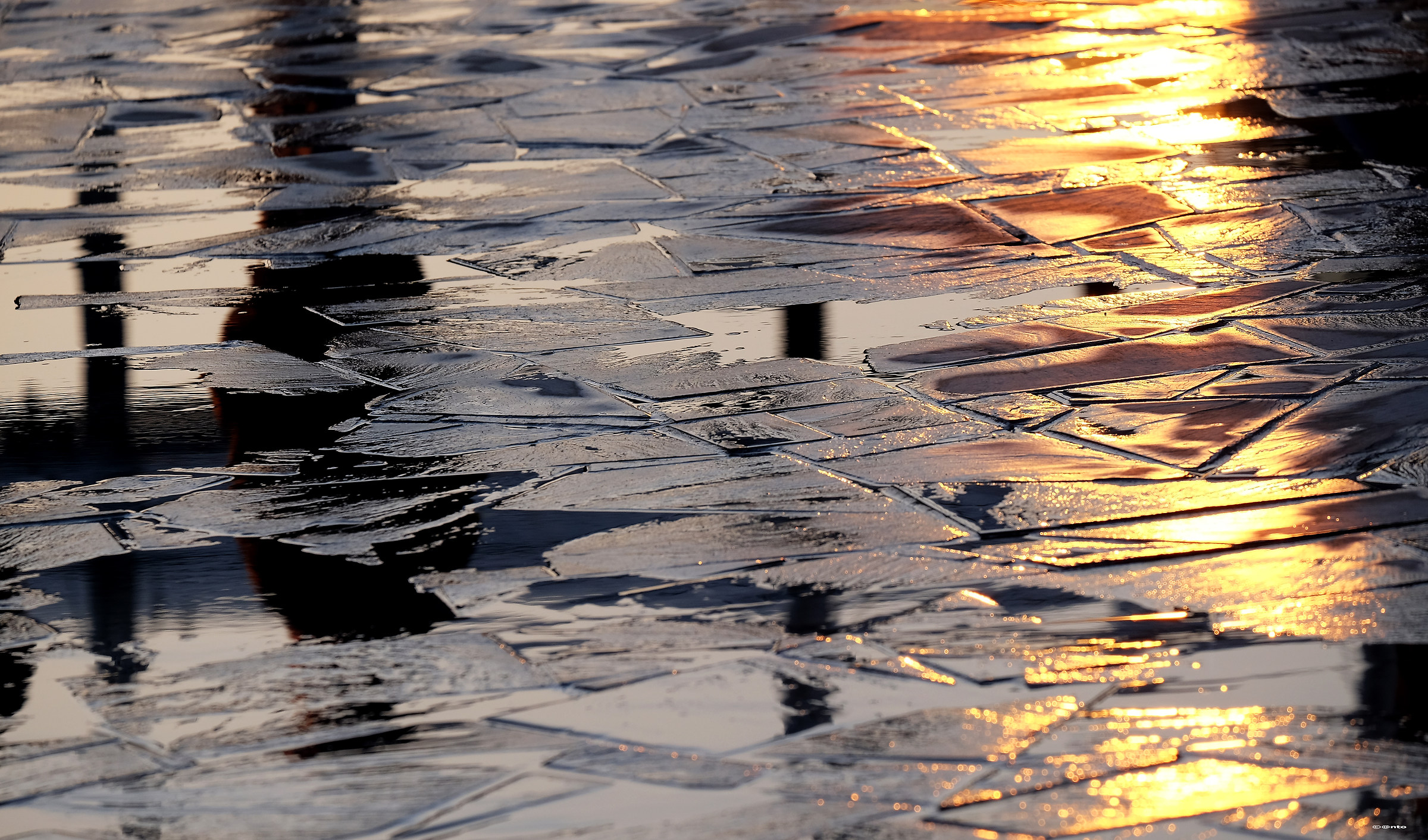 camminando nell'ora dorata