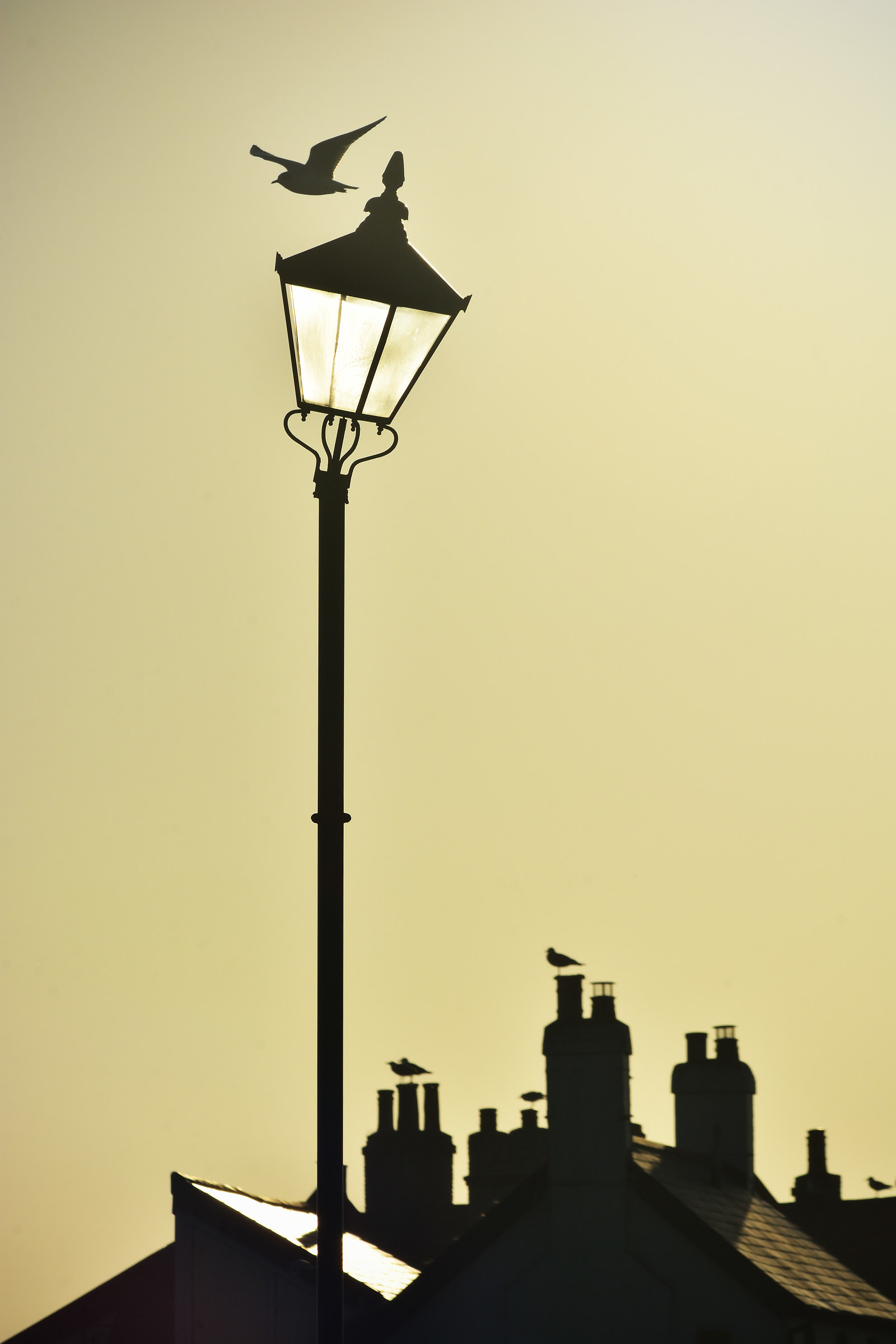 A "Nod" towards 2017 for ALL on Juza!!